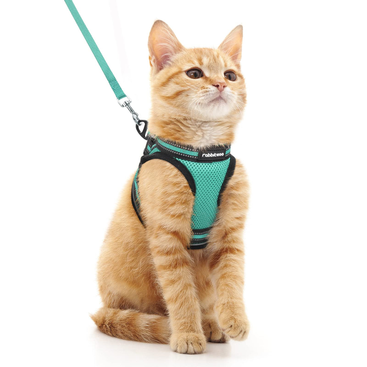 Rabbitgoo Cat Harness And Leash Set For Walking Escape Proof, Adjustable Soft Kittens Vest With Reflective Strip For Cats, Comfortable Outdoor Vest,Green,M