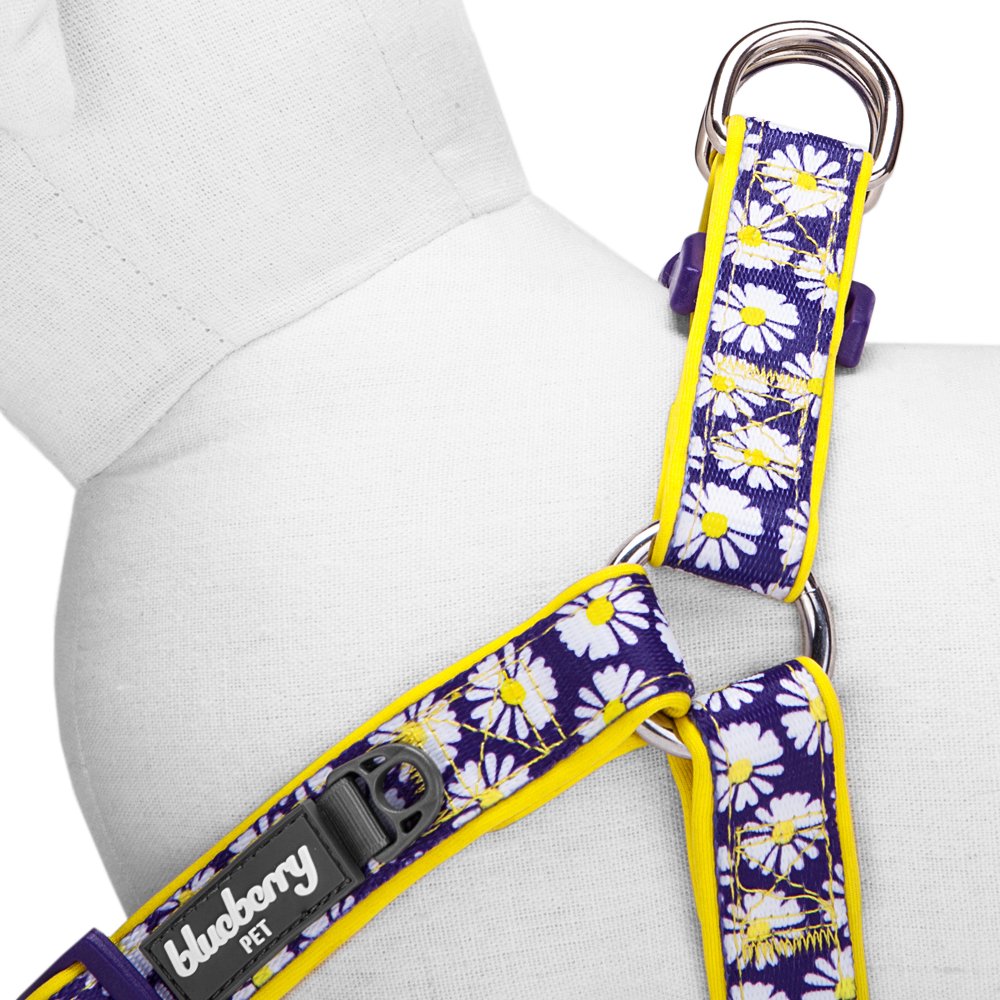 Blueberry Pet 2 Patterns Soft & Comfy Step-In Loving Daisy Prints Padded Dog Harness, Chest Girth 16.5' - 21.5', Small, Adjustable Harnesses For Dogs