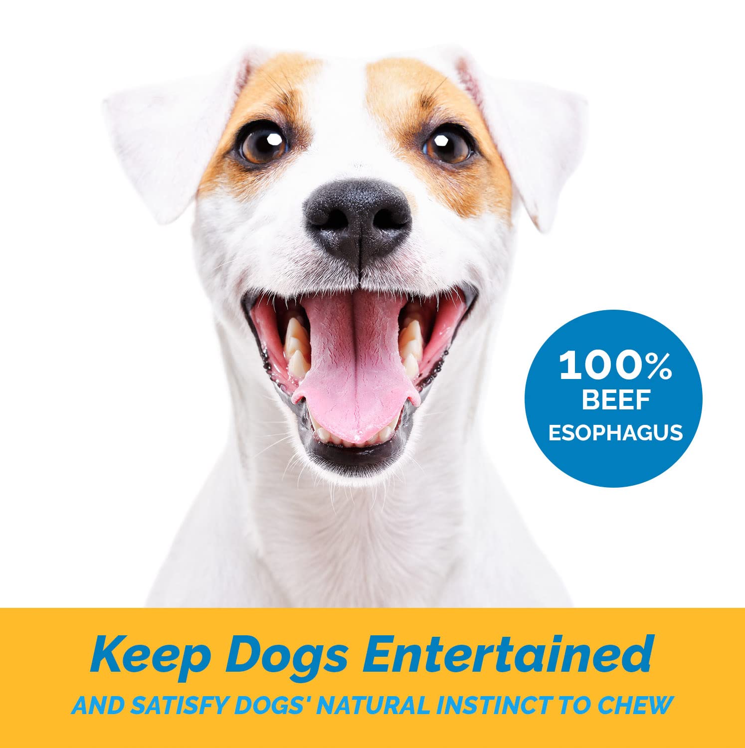 123 Treats Esophagus Dog Treats - (12 Inches - 20 Count) 100% Natural, Flat Gullet Sticks for Dogs, Beef Jerky Dog Treats Strips