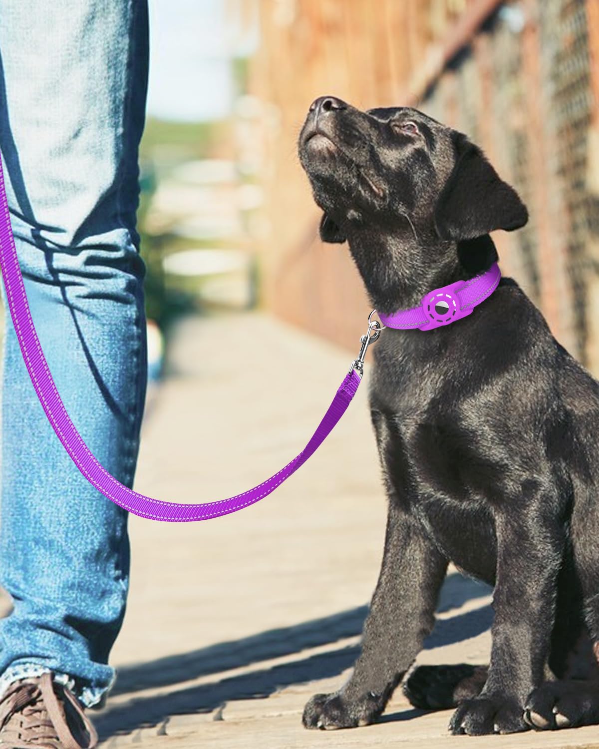 Erbine 4FT Reflective Nylon Dog Leash with Soft Padded Handle for Walking, Running and Training, Supports Small Medium and Large