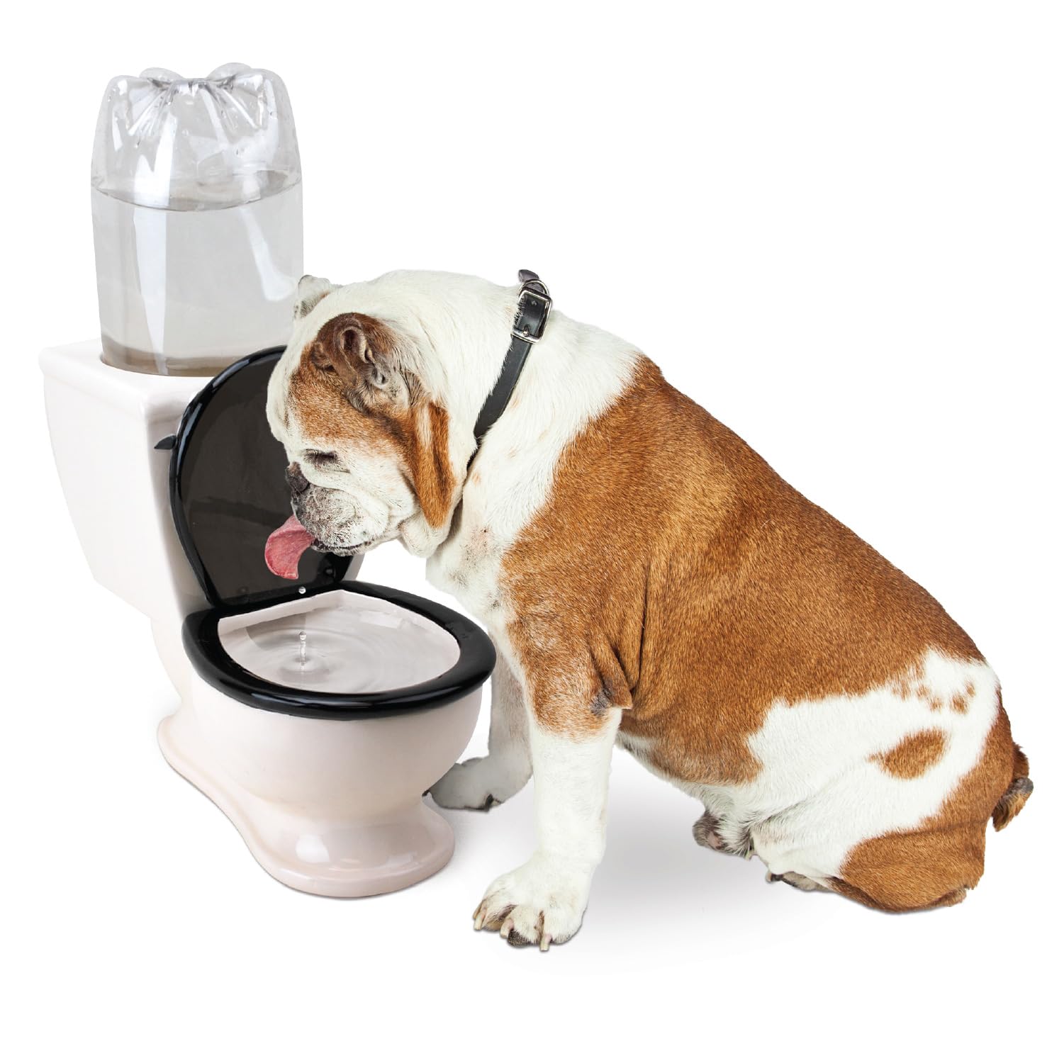 BigMouth Inc The Toilet Water Dish for Pets, Ceramic, Holds 2L Bottle, Funny Bowl for Dogs and Cats