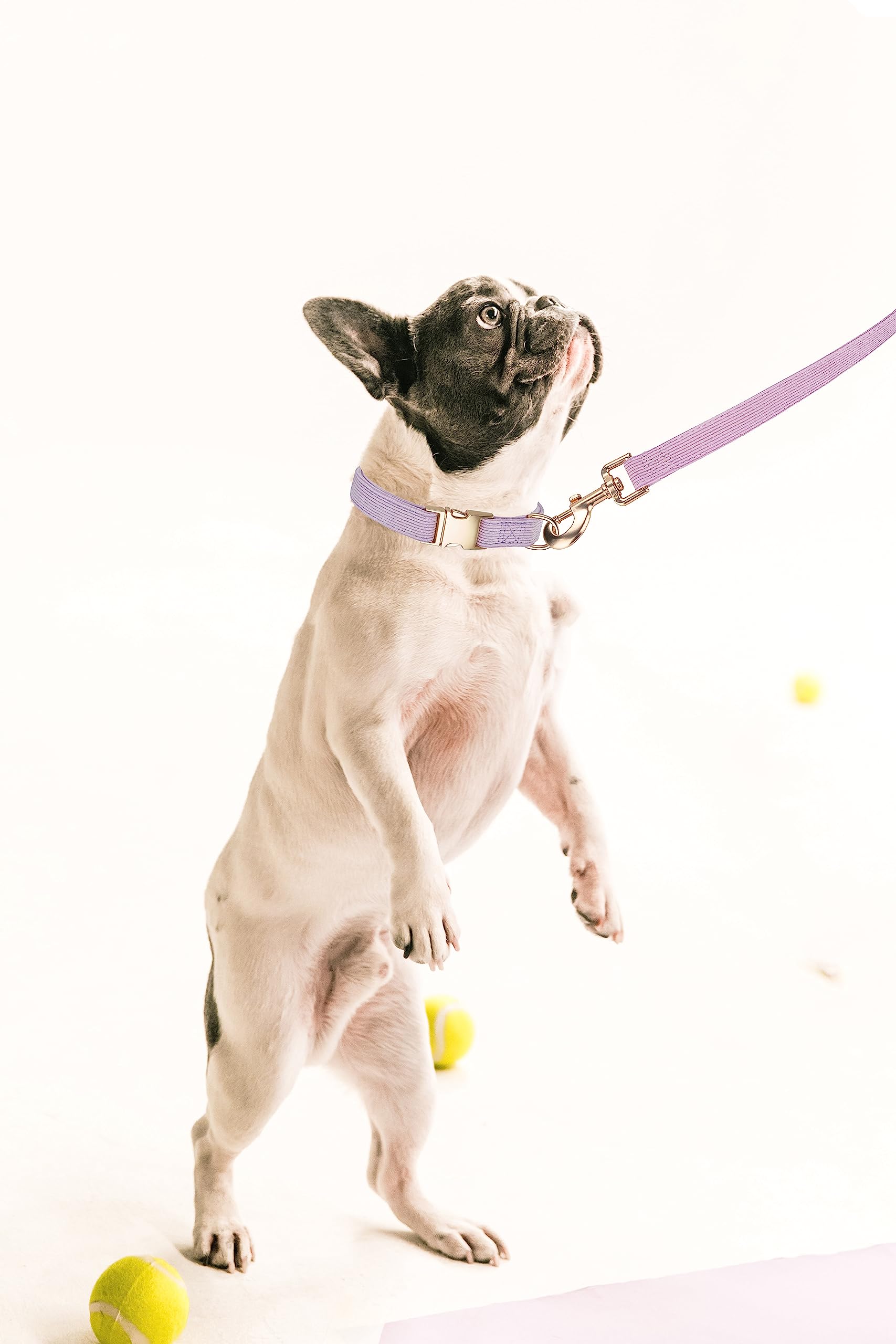 Ewinoom Soft Corduroy Dog Collar and Leash Set, Adjustable Cotton Dog Collars with Metal Buckle and Lead for Large Dogs,Lilac