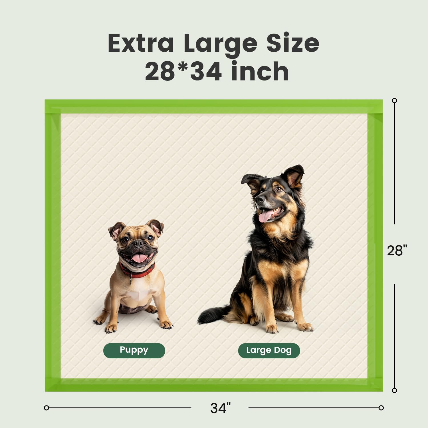 Gardner Pet Extra Large Eco-Friendly Dog Pee Pads, 28"x34", Super Absorbent, Green, 50 Count