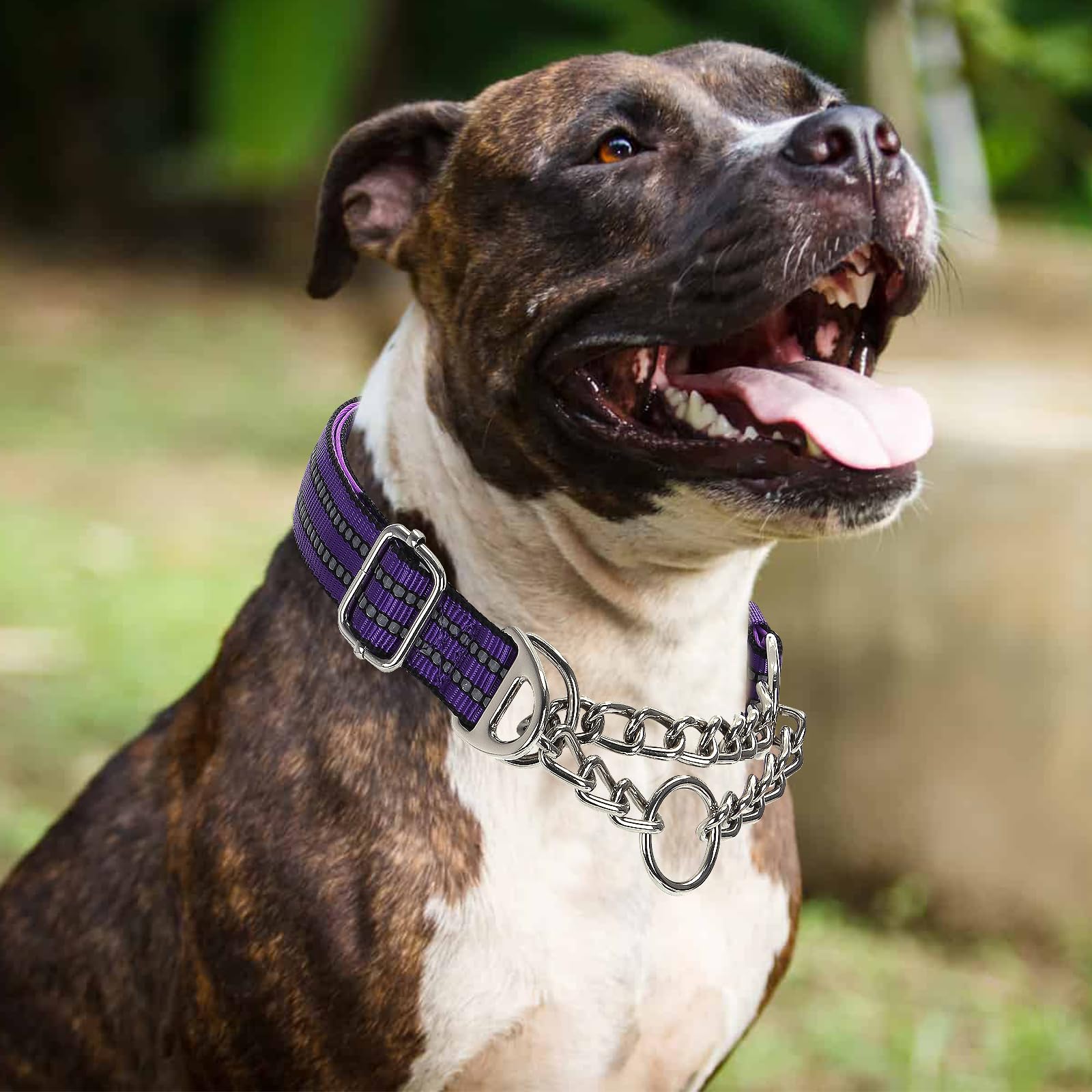 Reflective Martingale Dog Collar