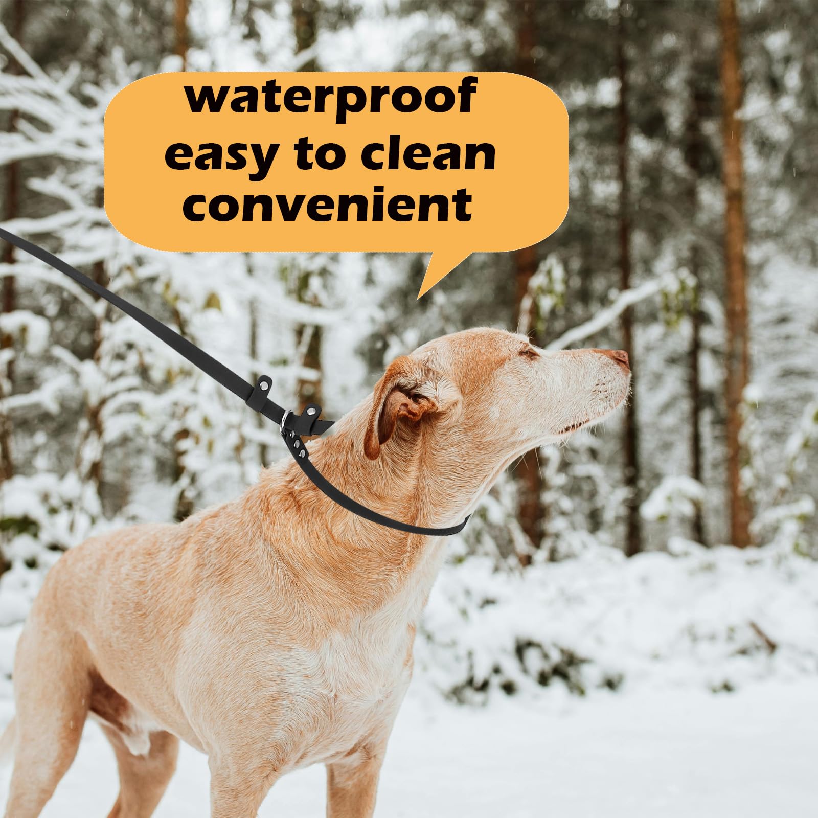 Fursdoly Dog Slip Lead Pet Leash 5Ft /6 Ft X 5/8'' Dogs Training Leashes Comfortable Soft Waterproof Pet Slip Leads, No Pull Pet