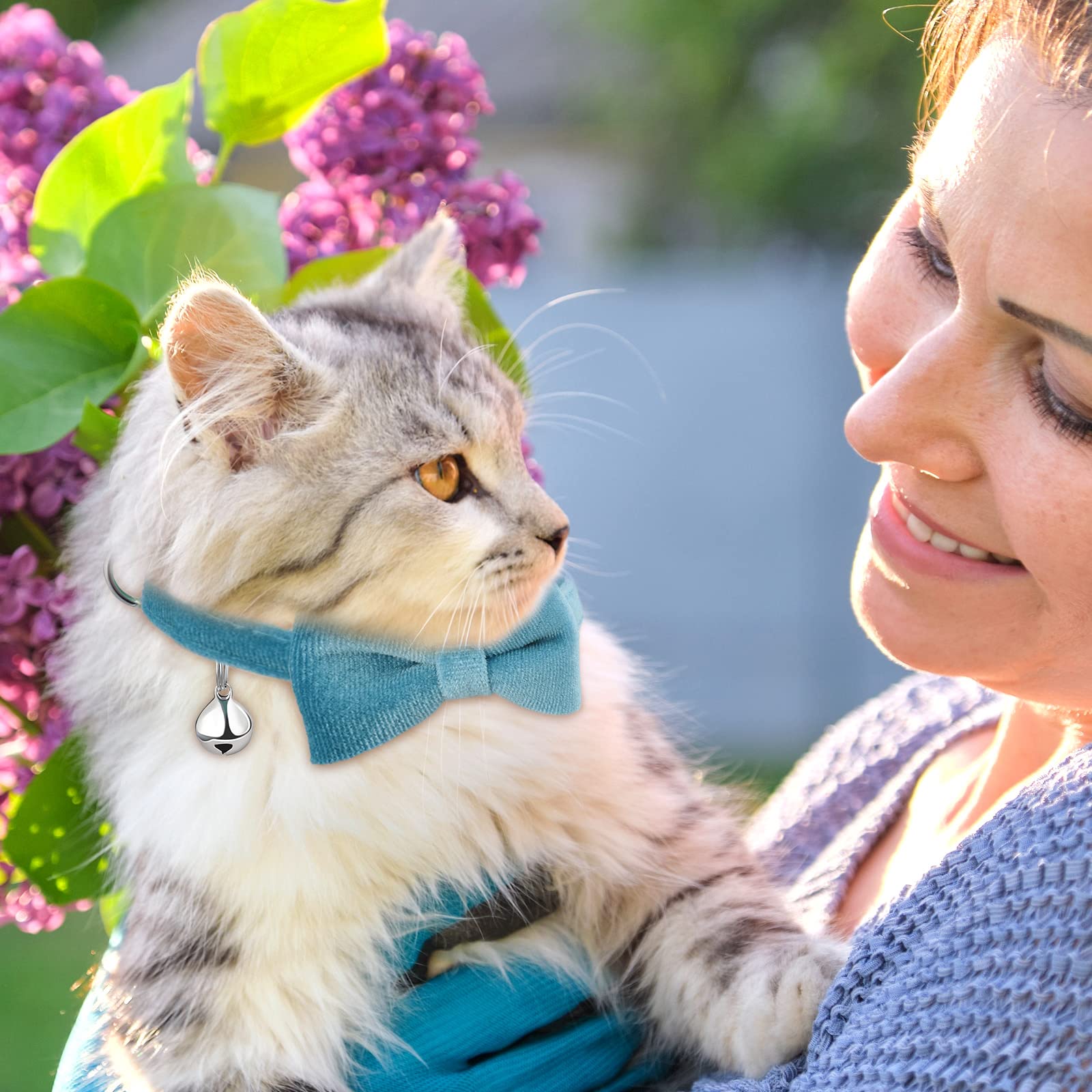 Weewooday 4-Piece Cat Bow Tie Collar Set - Velvet Breakaway with Bell, Comfortable & Safe for Kittens & Puppies, Medium, Black/Gray/Green/Blue