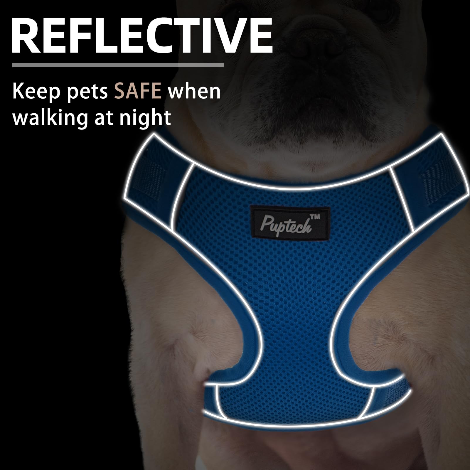 Pupteck Dog Harness And Leash Set For Small Medium Dogs No Pull, Soft Mesh Adjustable Puppy Cat Harness Reflective At Night, Dee