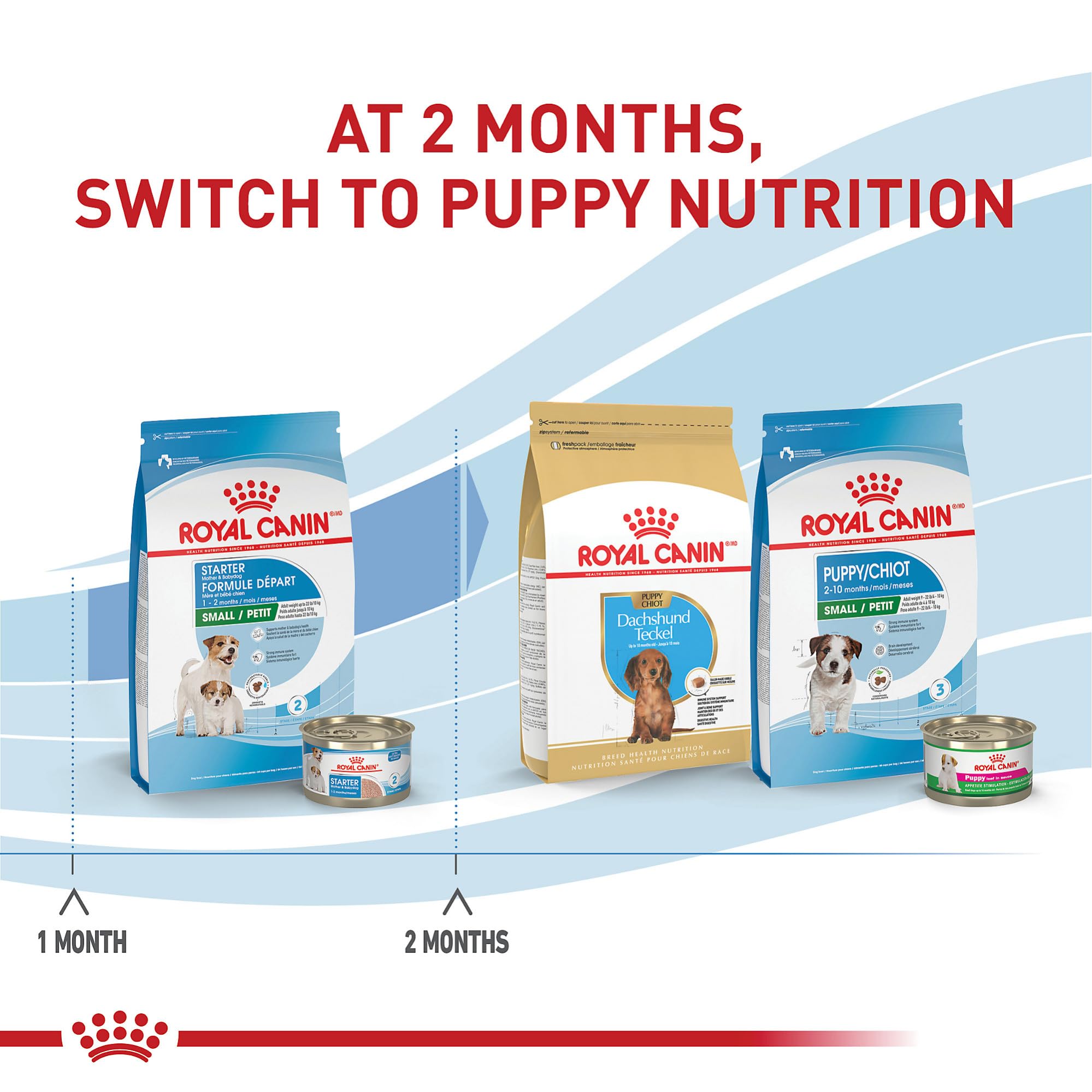 Royal Canin Size Health Nutrition Small Starter Mother & Babydog Dry Dog Food, 14 lb bag