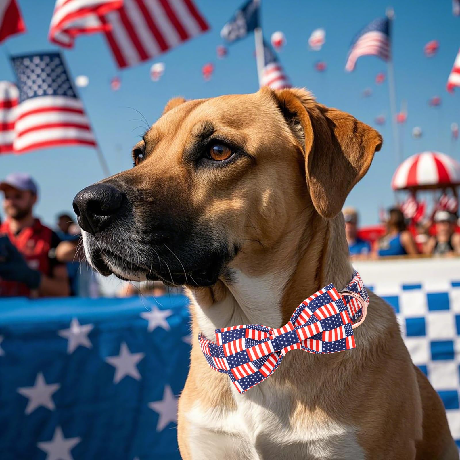 Babole Pet 4Th Of July Dog Collar With Bow Tie - Independence Day Star Flag Bowtie Collar Safety American Flag Patriotic Dog Col
