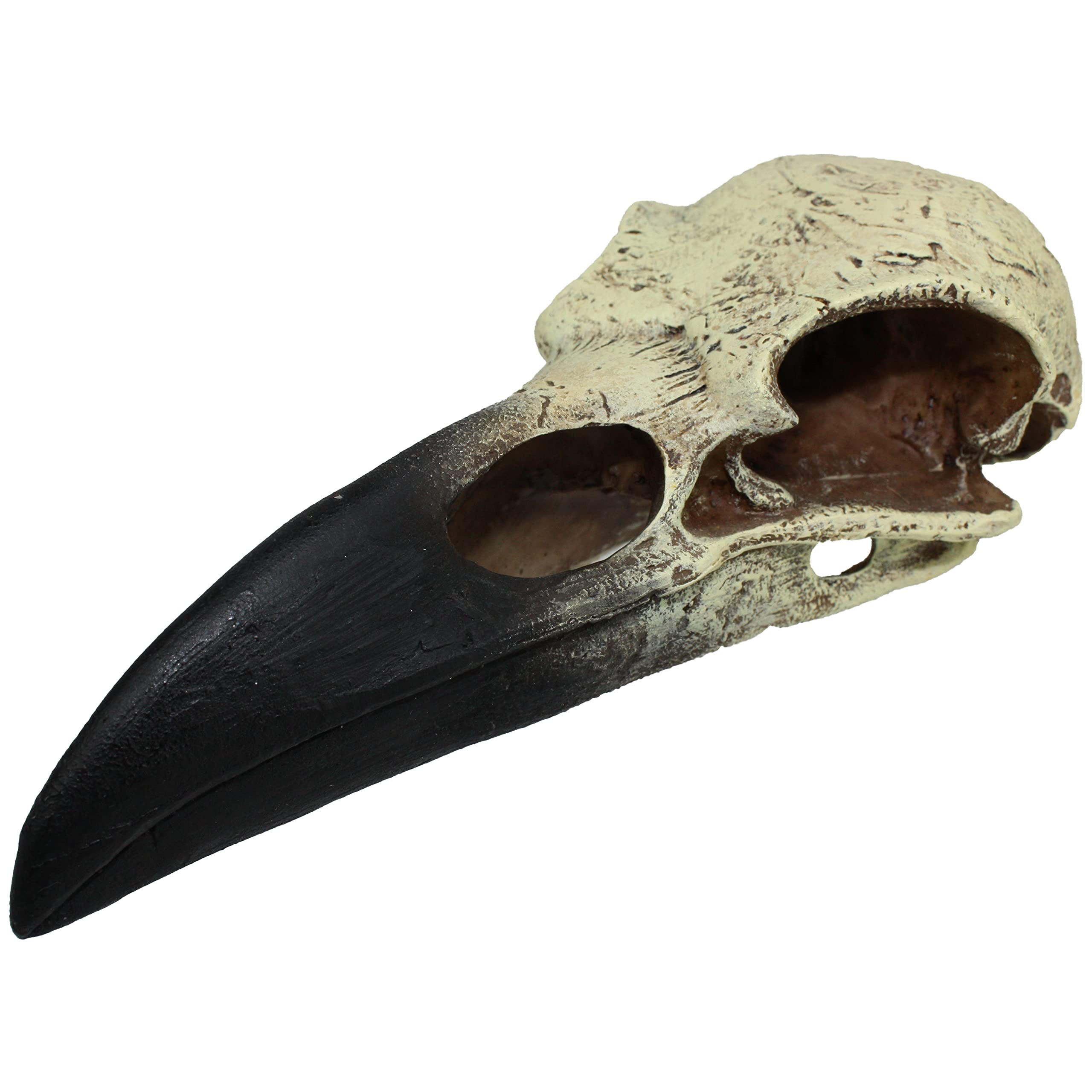 Komodo Reptile Terrarium Realistic Raven Skull Ornament Decor | Easy To Clean Under Water Aquarium Or Dry Habitat Decoration Accessory, Medium, 6 Inches