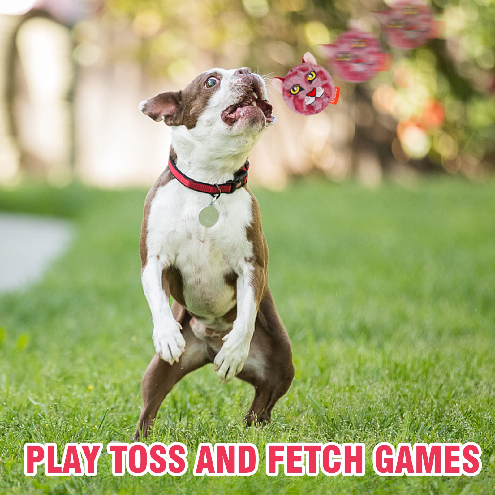 DKING 3Pack Squeaky Dog Balls,2 in1 Funny Puppy Ball Toys,Birthday Dog Toy for Small Medium Dogs (Animal Ball)