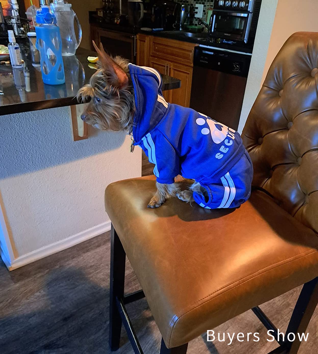 Otunrues Dog Hoodie, Dog Clothes Pullover 4 Legs Dog Jumpsuit Fleece Sweatshirt Security Patterns Dog Outfit Doggie Winter Coat Cotton Puppy Hoodied For Small Medium Large Dogs Cats Apparel(Blue, Xxs)