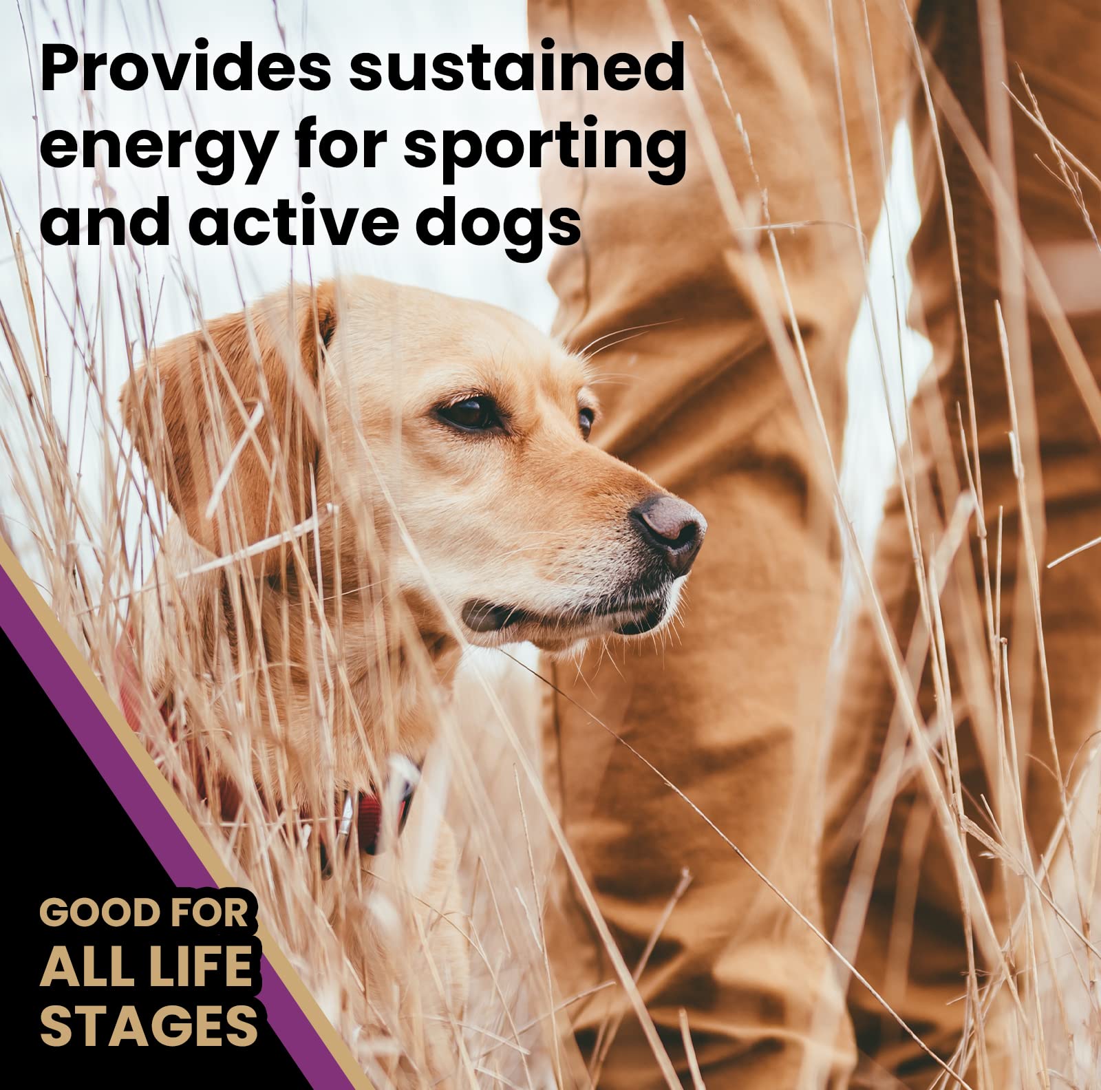 VICTOR Super Premium Professional Dry Dog Food - 26% Protein, Gluten Free - for High Energy and Active Dogs & Puppies, 40lbs