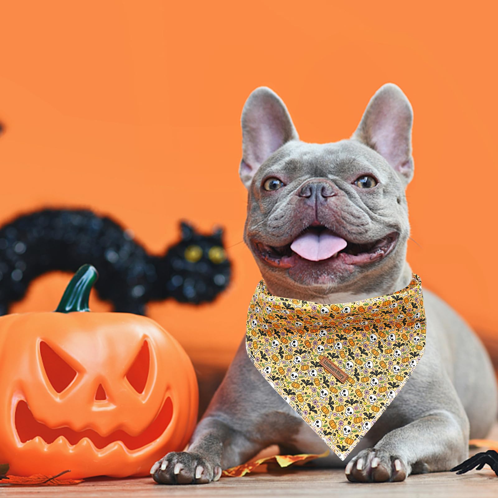 Lionheart Glory Dog Bandana Halloween 1 Pack Washable Soft Dog Scarf, Fall Bib Scarf Boy Girl Bandana Square Adjustable Dog Band