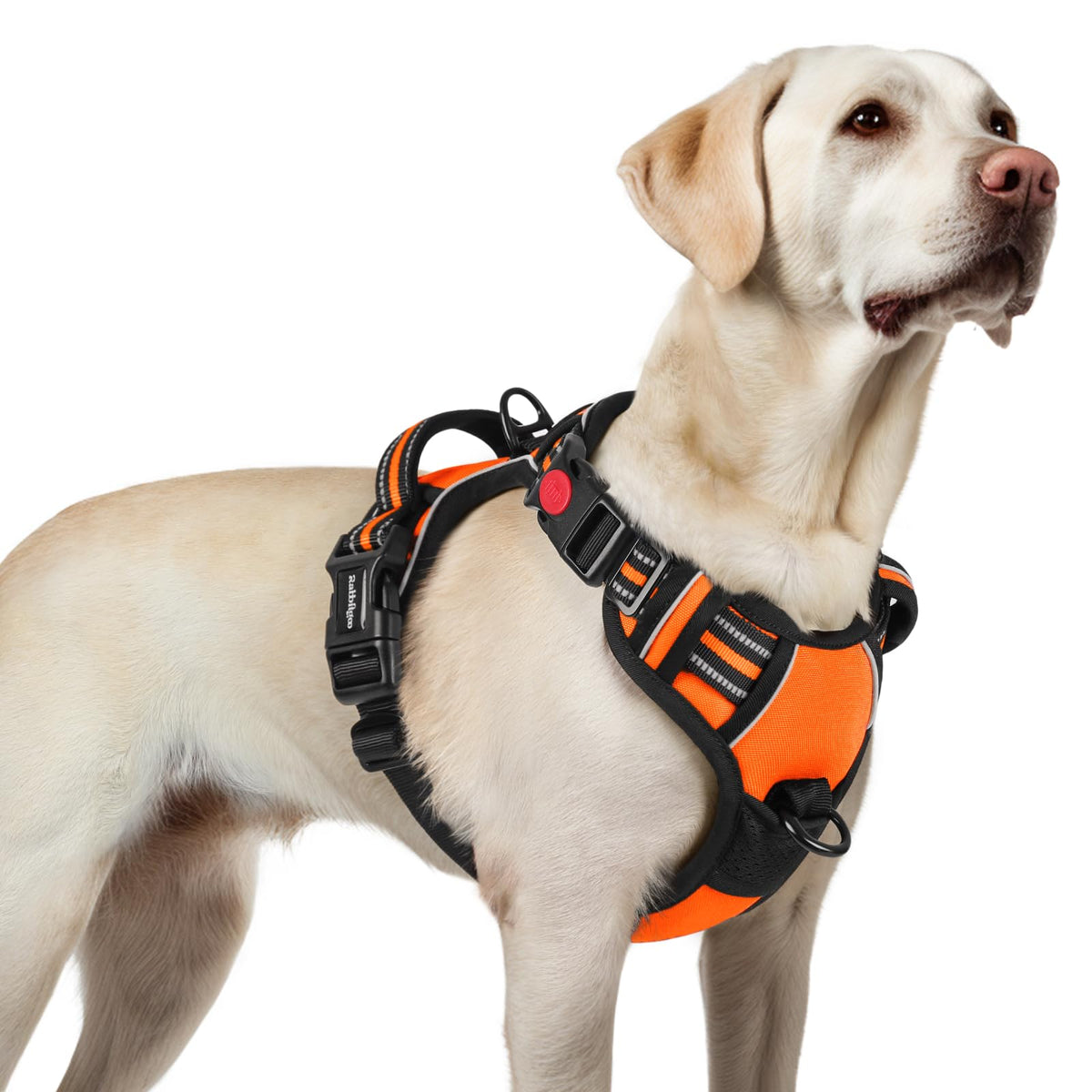 Rabbitgoo Dog Harness For Large, No Pull Pet Harness With 3 Buckles, Adjustable Soft Padded Pooch Vest With Instant Control Handle, Easy Walking Reflective Pet Vest For Large Dogs, Orange, L