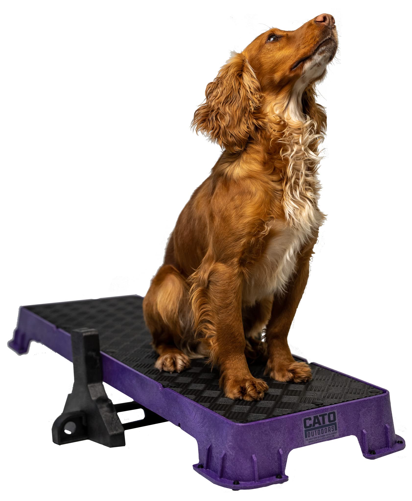 Cato Board Xl - Dog Platform (Purple, With Tilt Stand)