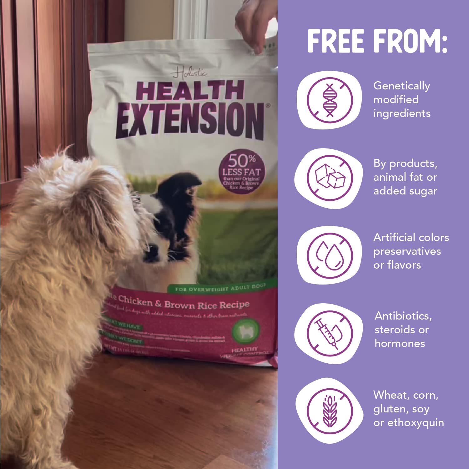Health Extension Lite Chicken & Brown Rice Dry Dog Food (4 lb / 1.81 kg) - Low-Fat Formula with Glucosamine, Probiotics & Omega