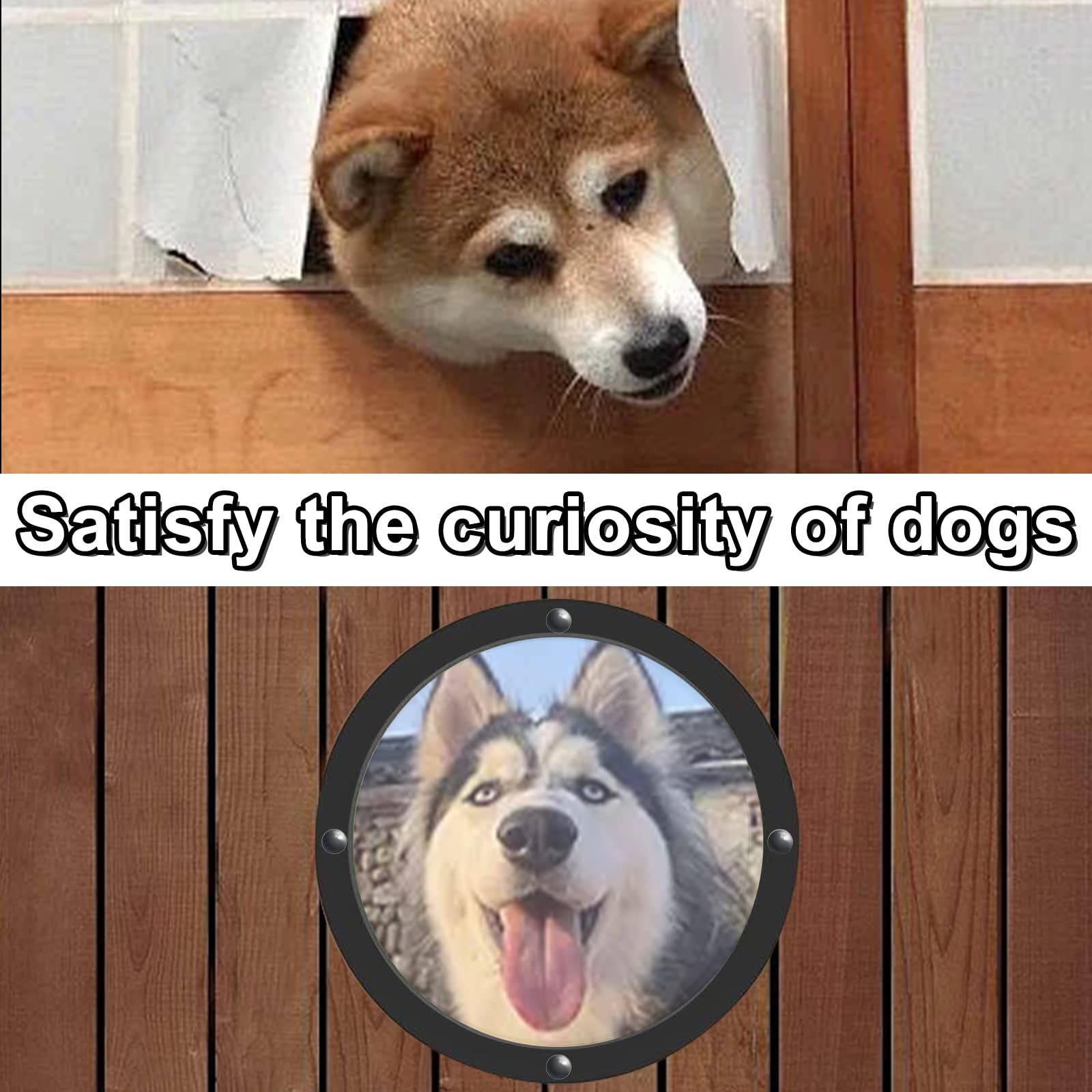 Petpeek Fence Window For Pets