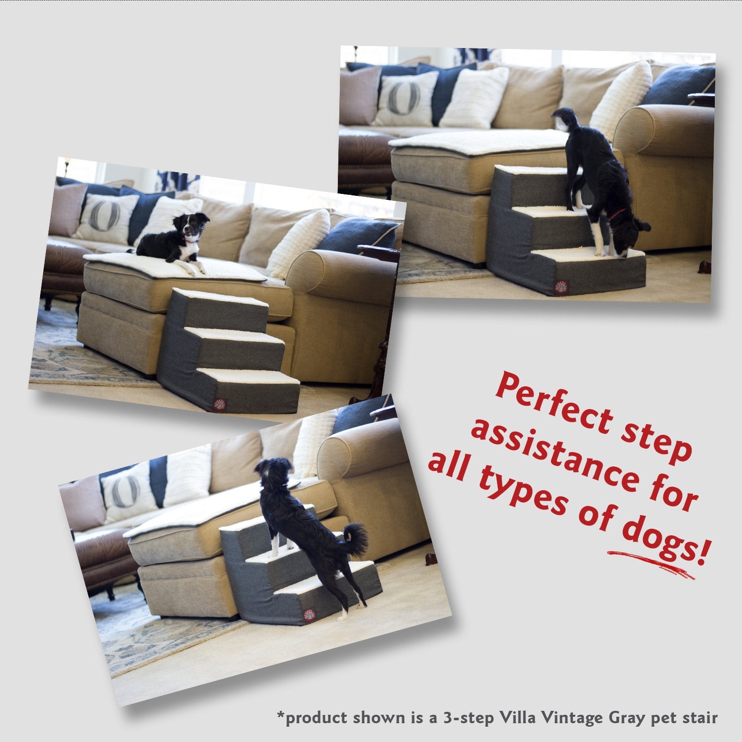 4 Step Portable Pet Stairs By Majestic Pet Products Villa Aubergine Steps for Cats and Dogs Purple
