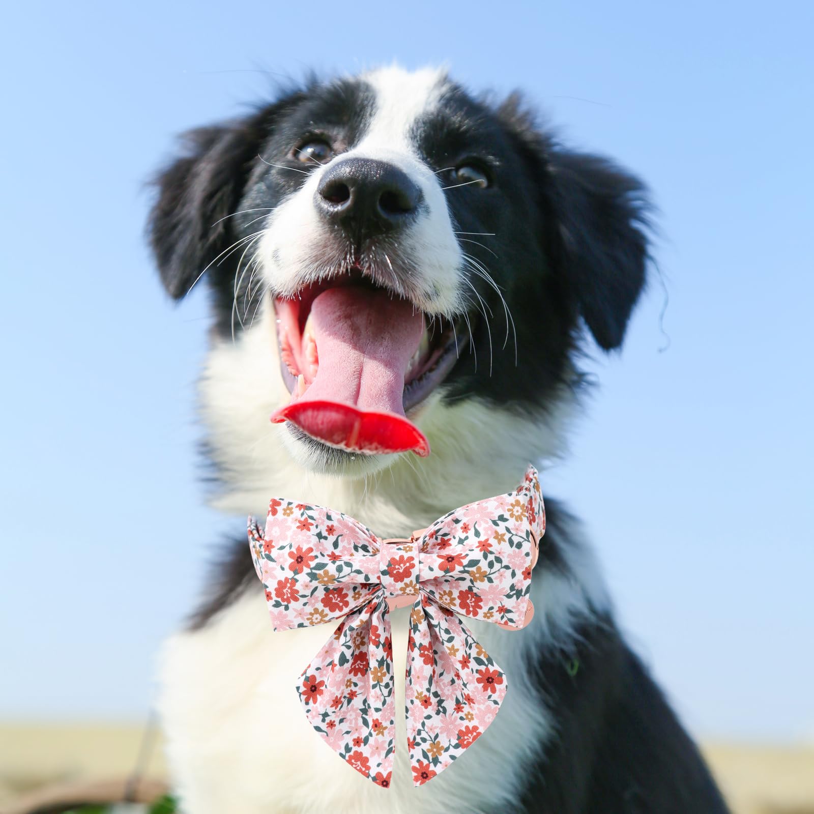 Up Urara Pup Flower Bowtie Dog Collar - Summer Comfortable Cotton Collar With Metal Buckle For Puppy Boy Girl, L