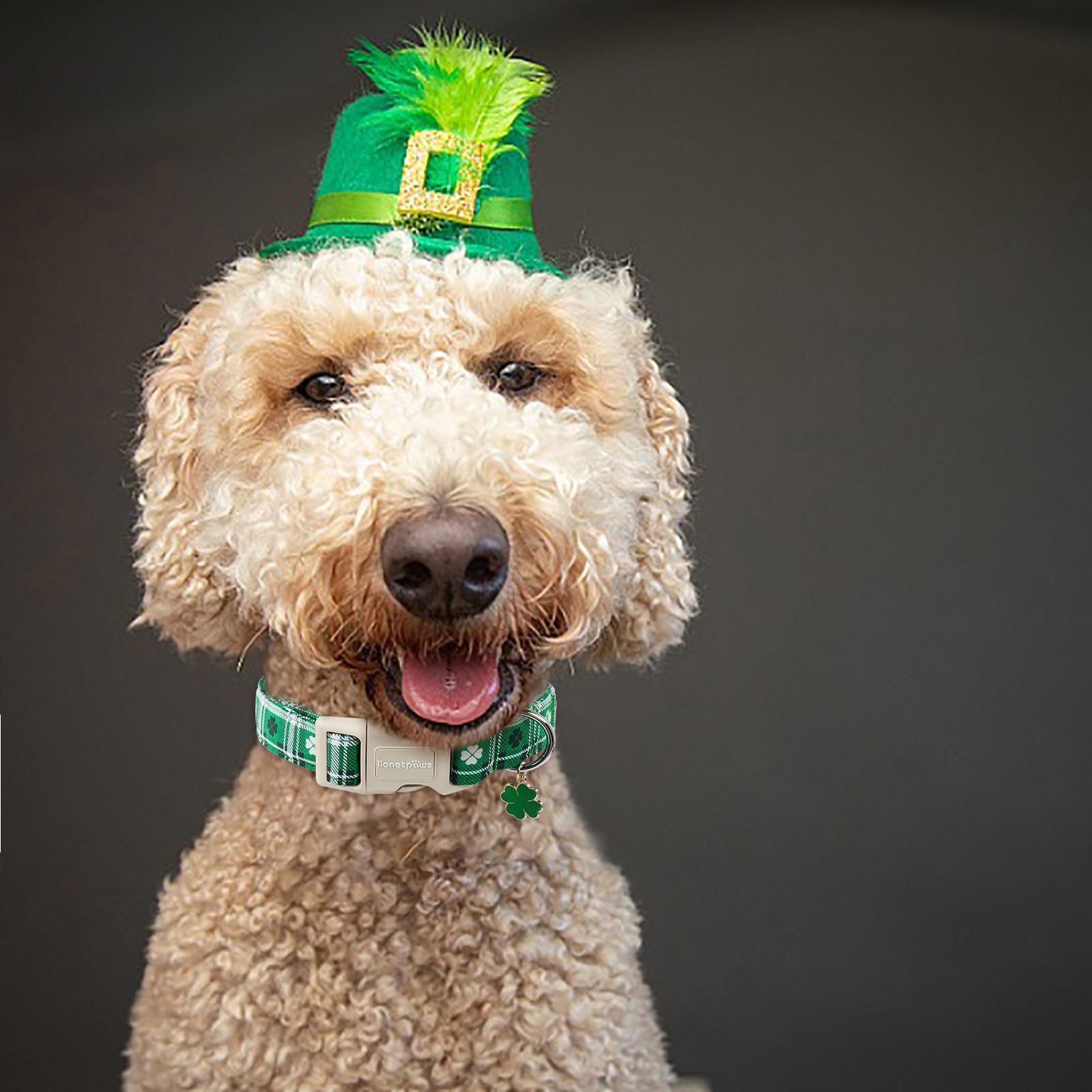 Lionet Paws St. Patrick Dog Collar, Comfortable Adjustable Green Collar With Green Clover Pattern For Medium Male Female Dogs Co