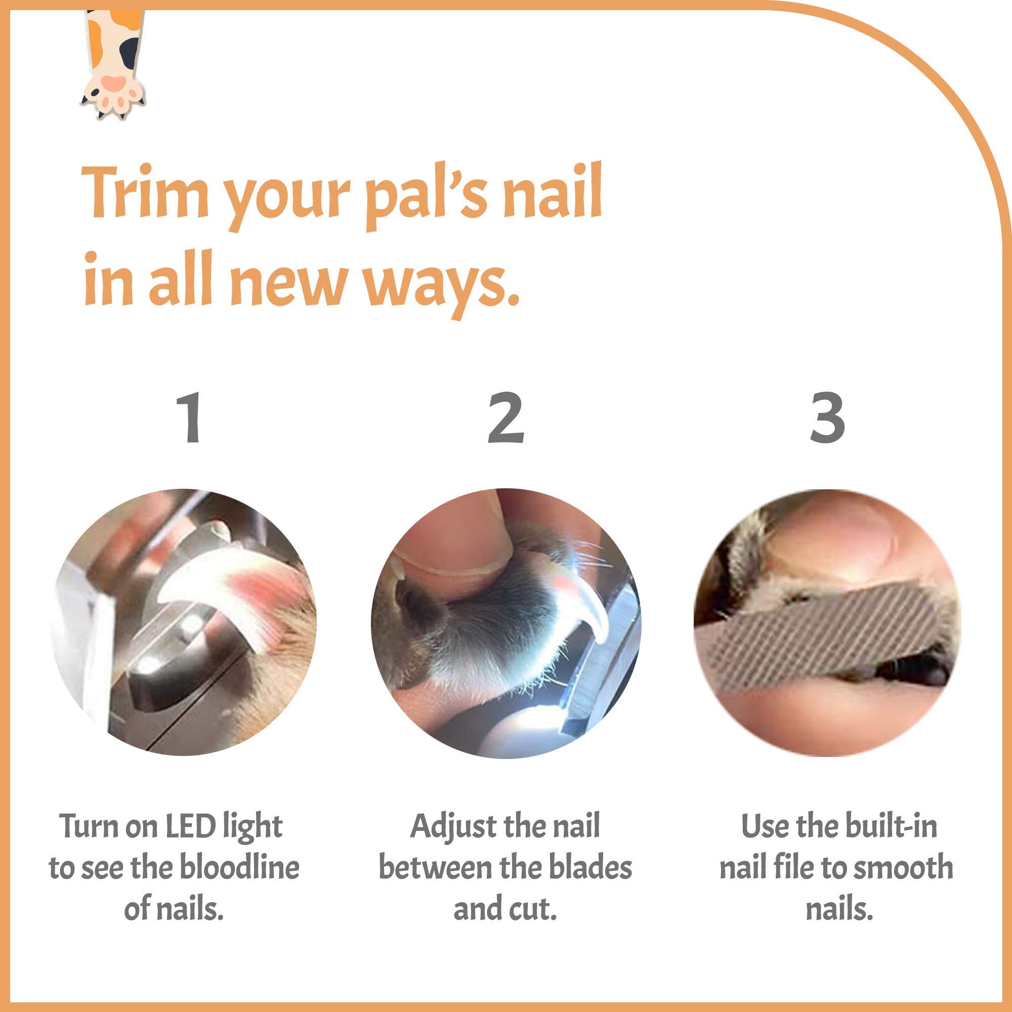 Pawsibility - Reinvented Pet Nail Clippers For Your Pal - Usb Rechargeable Led Light For Bloodline | Razor Sharp And Durable Bla