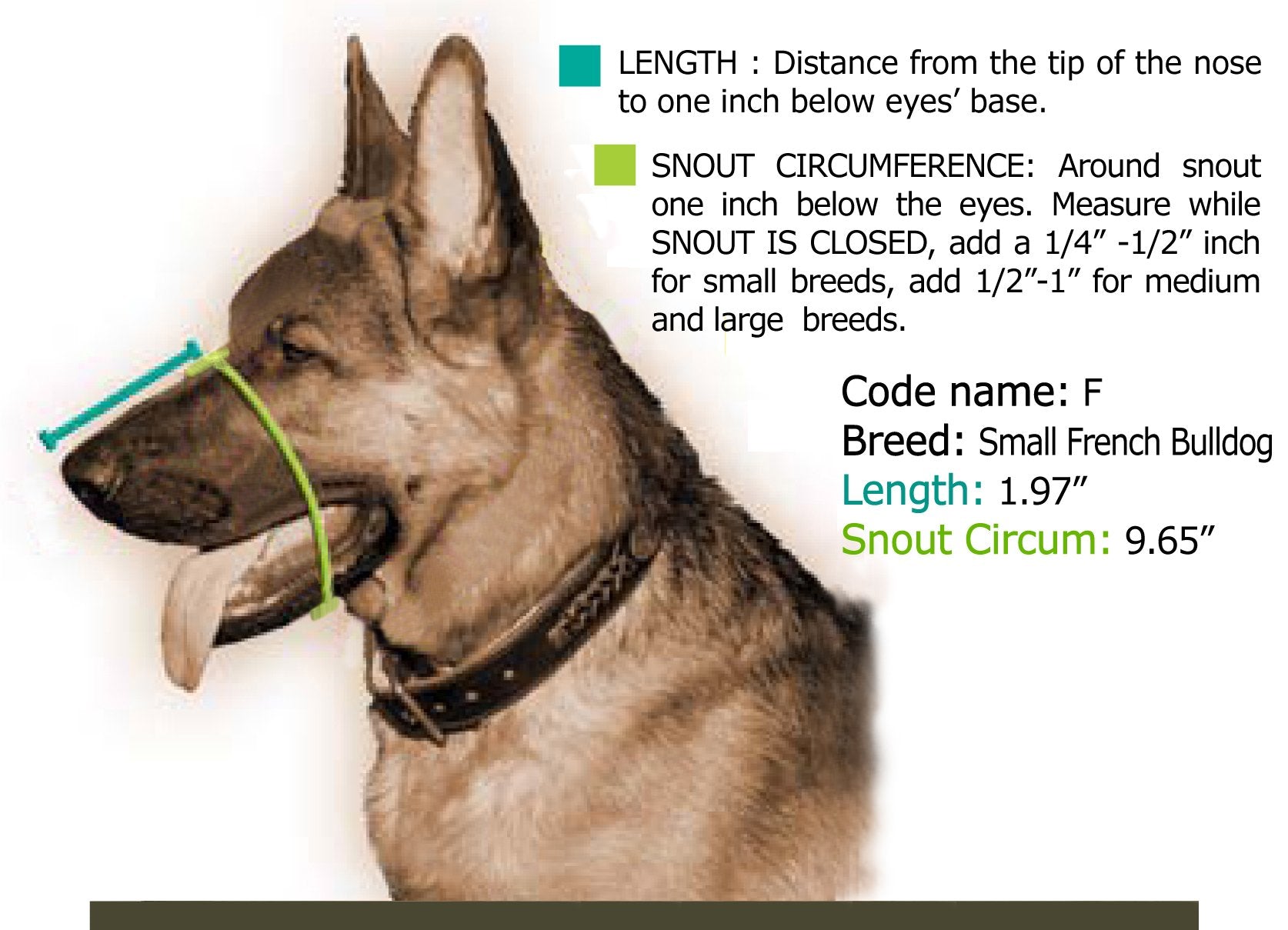 Dean and Tyler Leather Basket Muzzle, Size No. F - French Bulldog