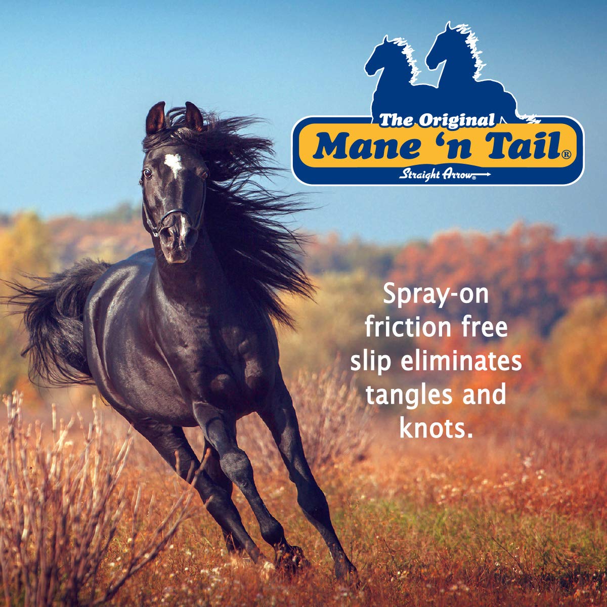 Mane 'n Tail Detangler 32oz Sprayer and Refill Gallon, Eliminates Knots & Conditions Hair for Horses & Dogs