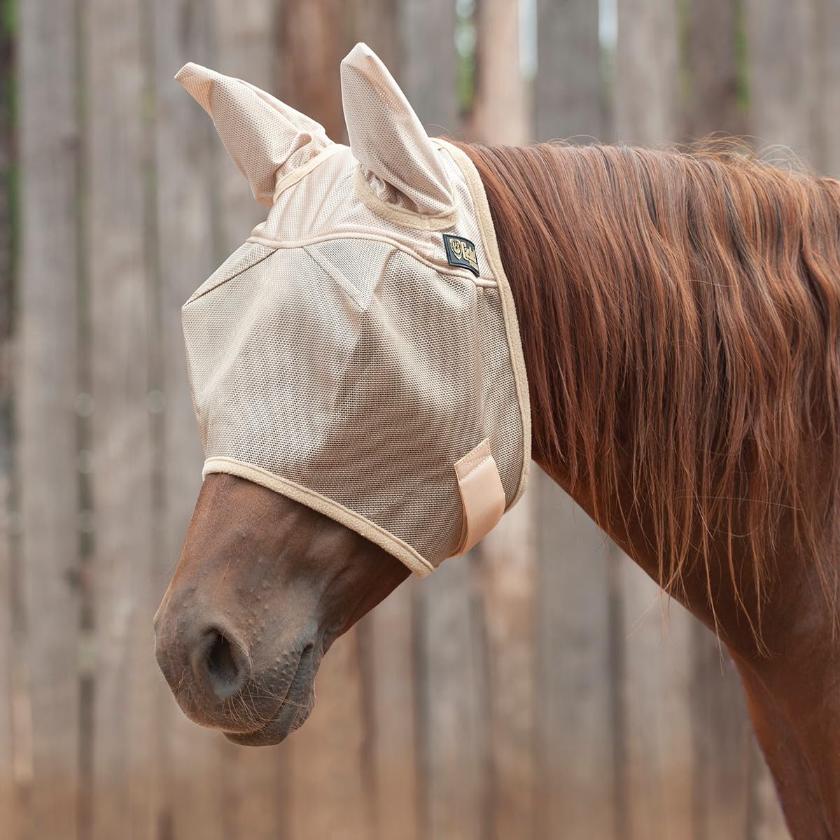 Cashel Economy Horse Fly Mask with Ears, Gold, Arabian