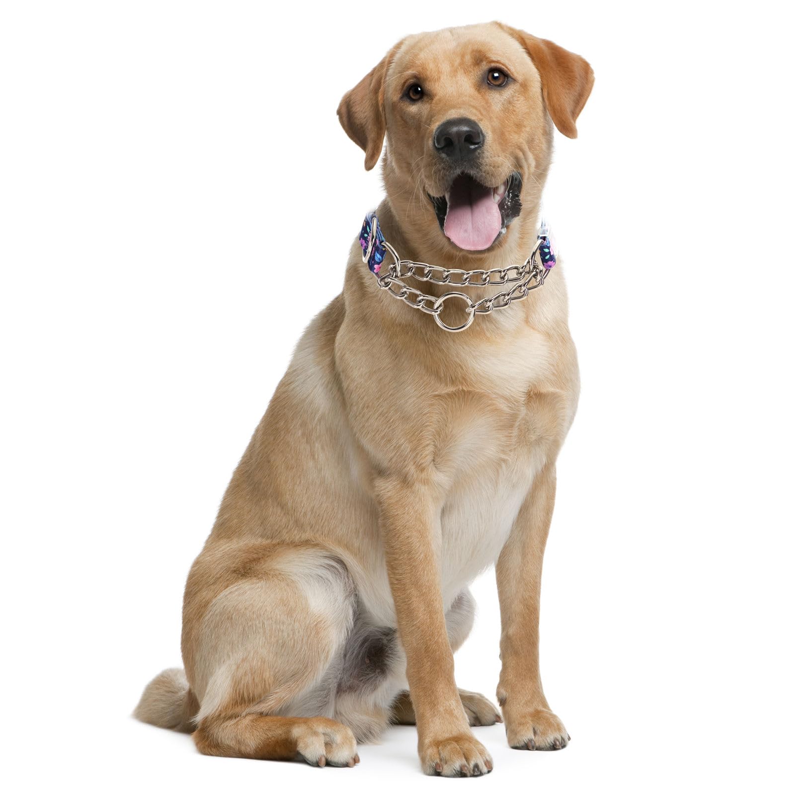 Stainless Steel Chain Dog Martingale Collar, No Pull Slip Cinch Choker Choke Collar Training Escape Proof Heavy Duty Dog Collar