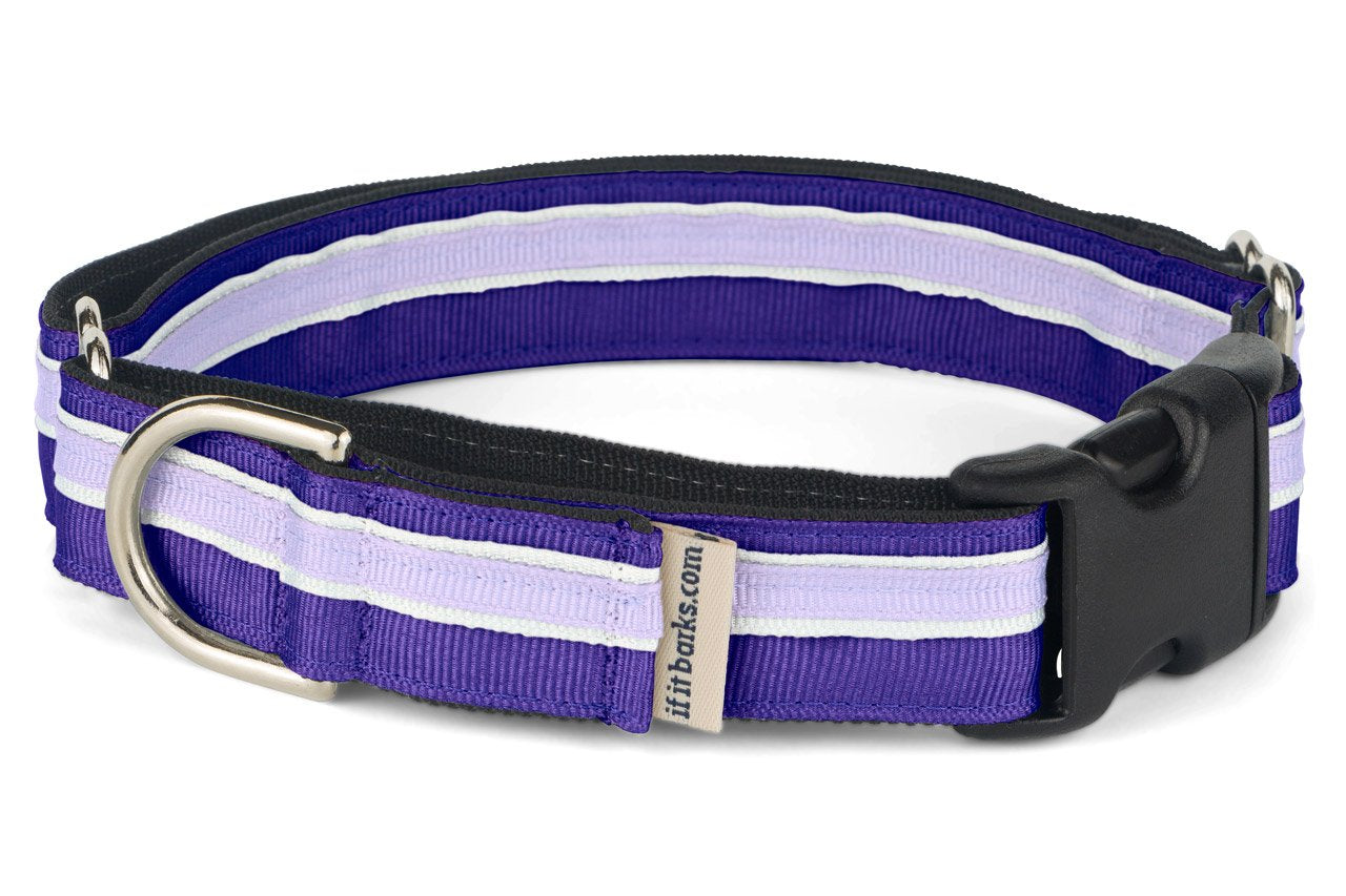 If It Barks 1'' Martingale Collar With Quick Snap Release Buckle, Adjustable, Usa Made, Medium, Grape Crush