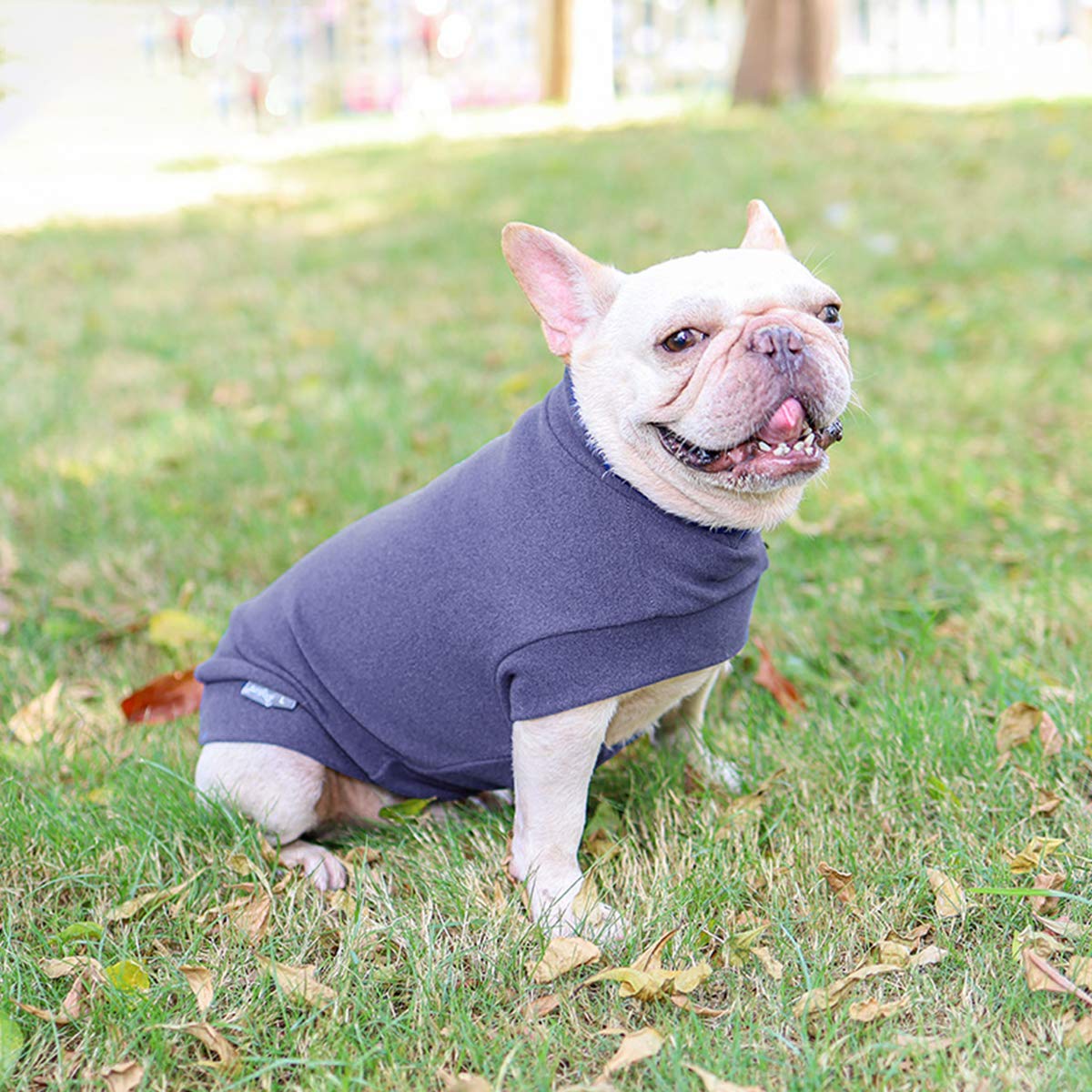 Small Dogs Fleece Dog Sweatshirt - Cold Weather Hoodies Spring Soft Vest Thickening Warm Cat Sweater Puppy Clothes Sweater Winter Sweatshirt Pet Pajamas For Small Dog Cat Puppy Medium, Grayish Purple