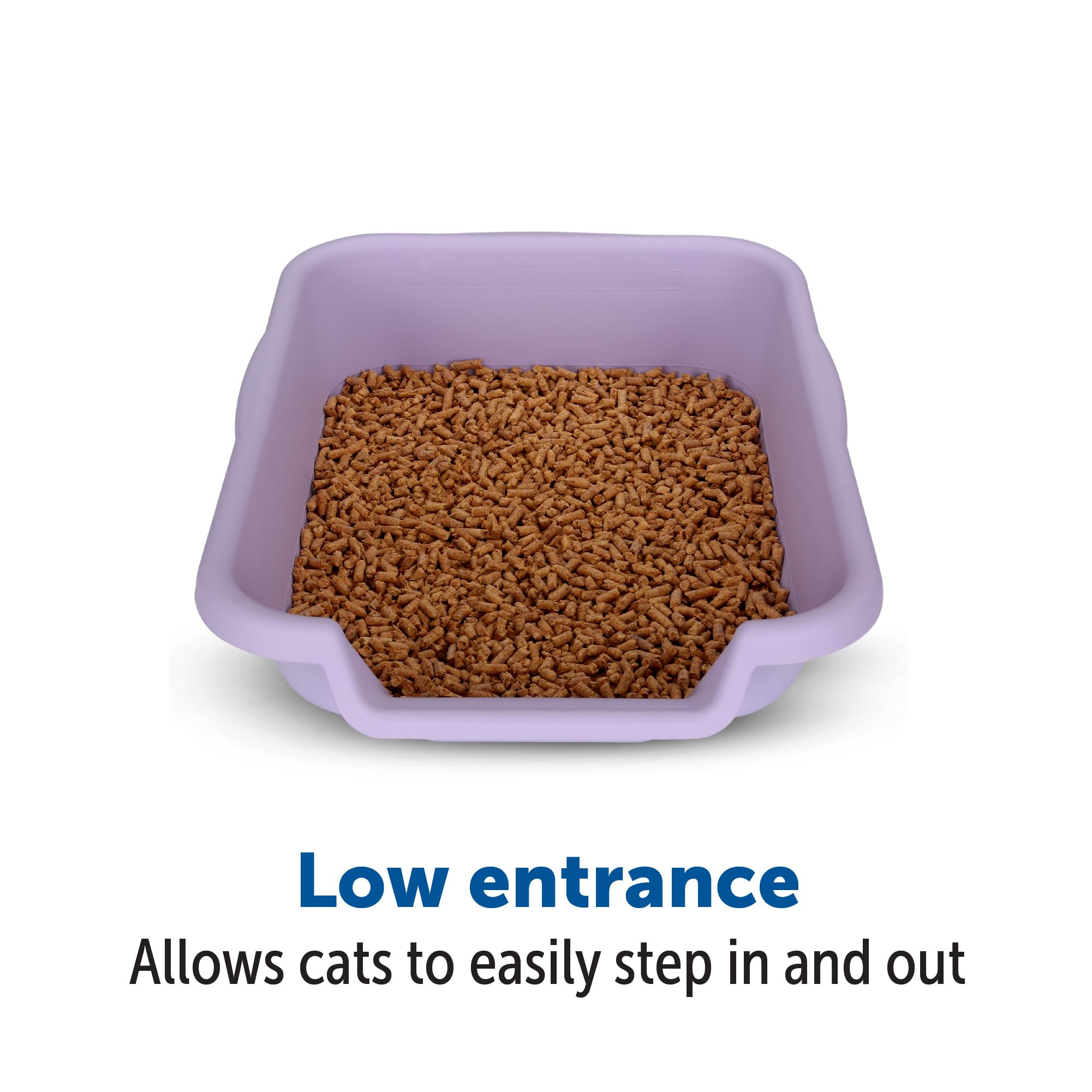 Kittygohere Senior Cat Litter Box 1 Pack, Small Storybook Lavender Low Entrance Kitty Litter Box, Perfect For Senior And Arthrit