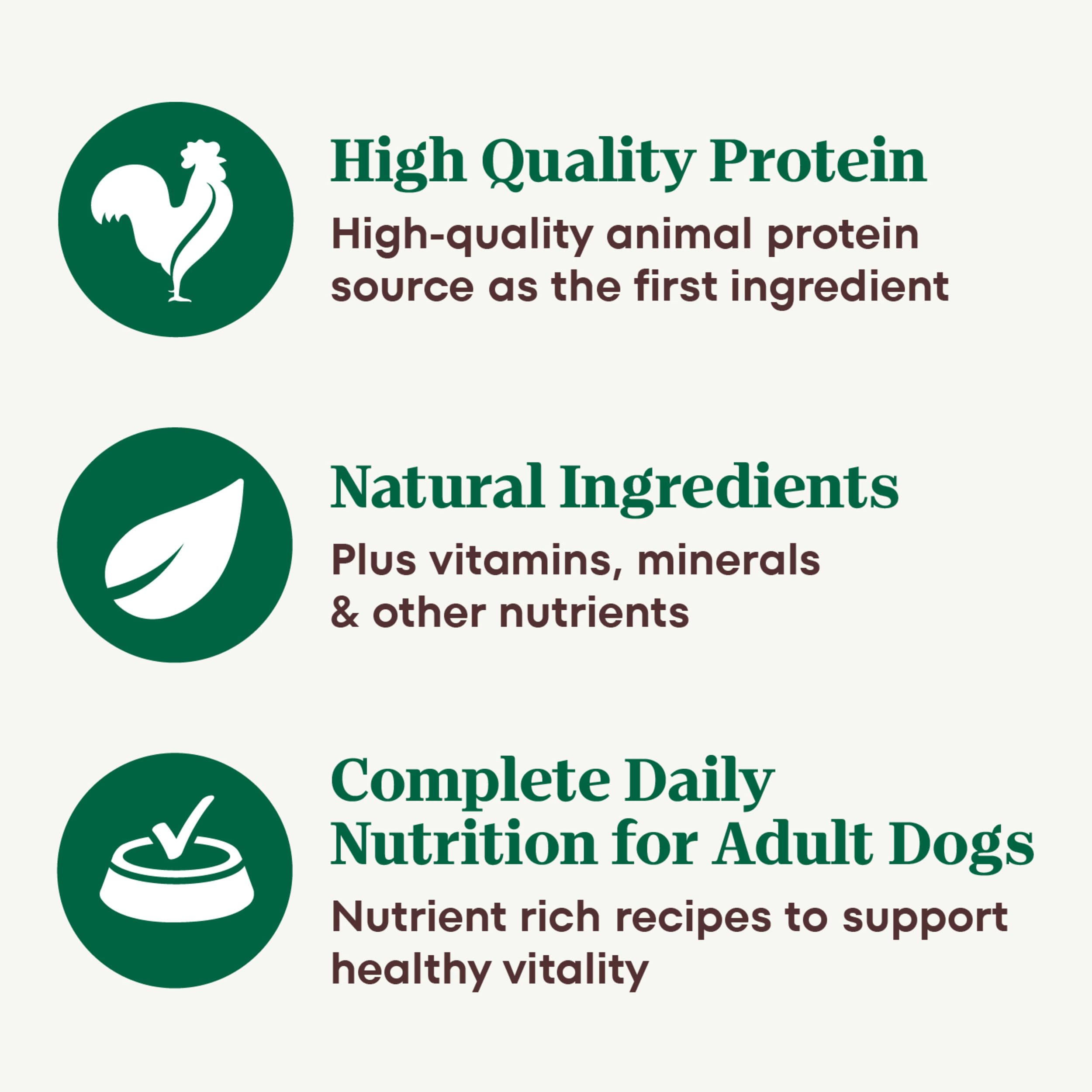 Nutro Natural Choice Premium Loaf Adult Wet Dog Food Chicken Recipe 12.5 oz Cans (12 Count, Pack of 1)