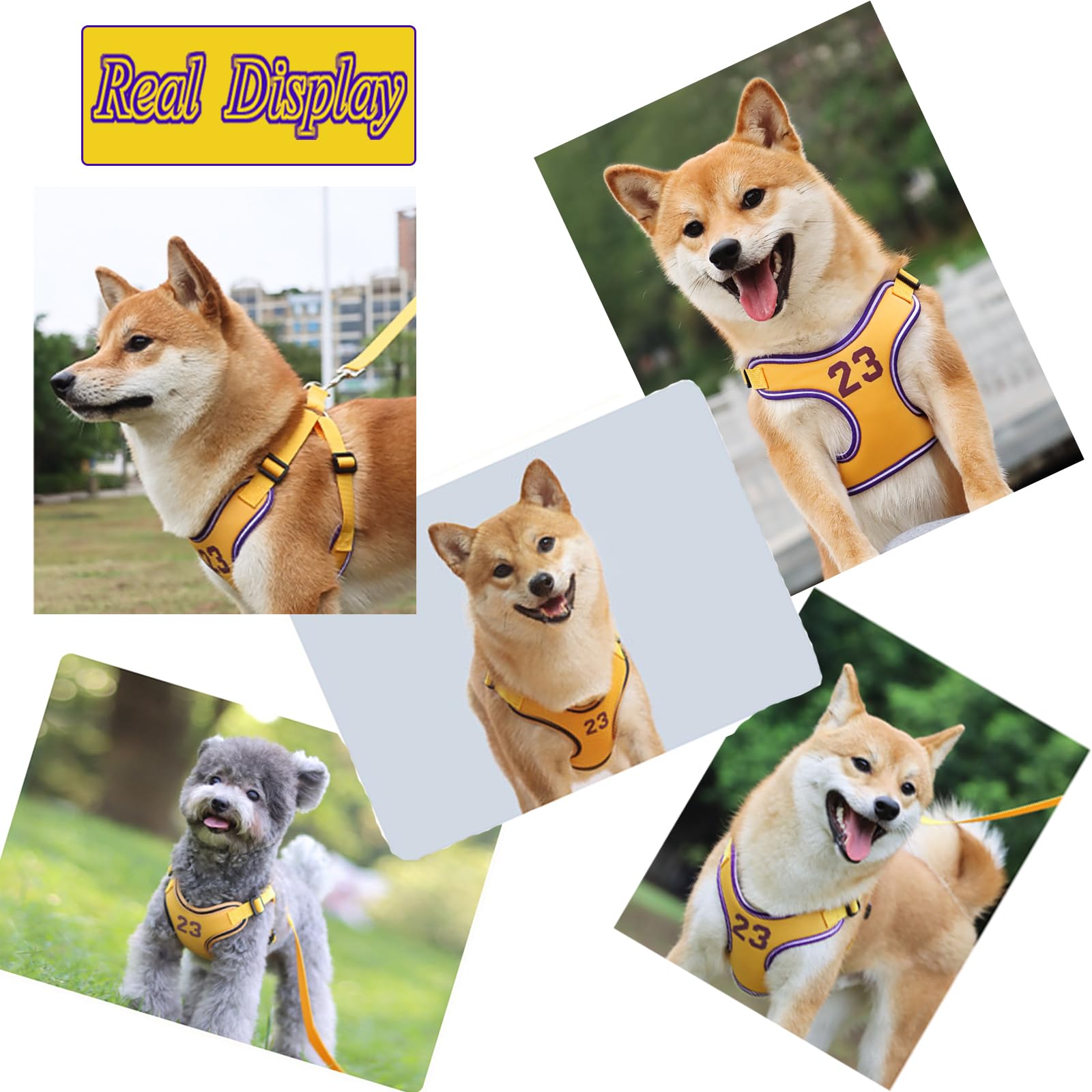 Dog Vest Harness Breathable-Escape Proof Dog Harness -Adjustable Reflective Number Dogs Vest With Outdoor Pet Leash, Easy Contro