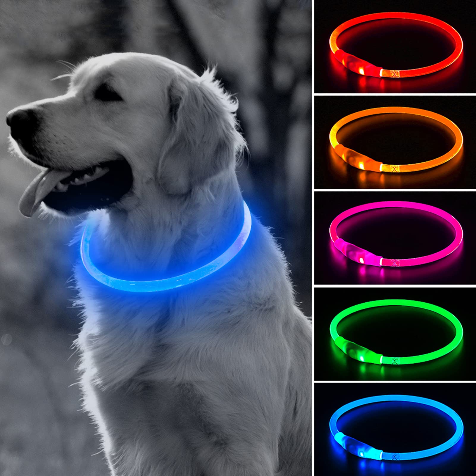 Bseen Light Up Dog Collar, Rechargeable Led Dog Collar For Night Safety, Waterproof Tpu Glowing Puppy Collar Safety Dog Lights For Night Walking (Blue)