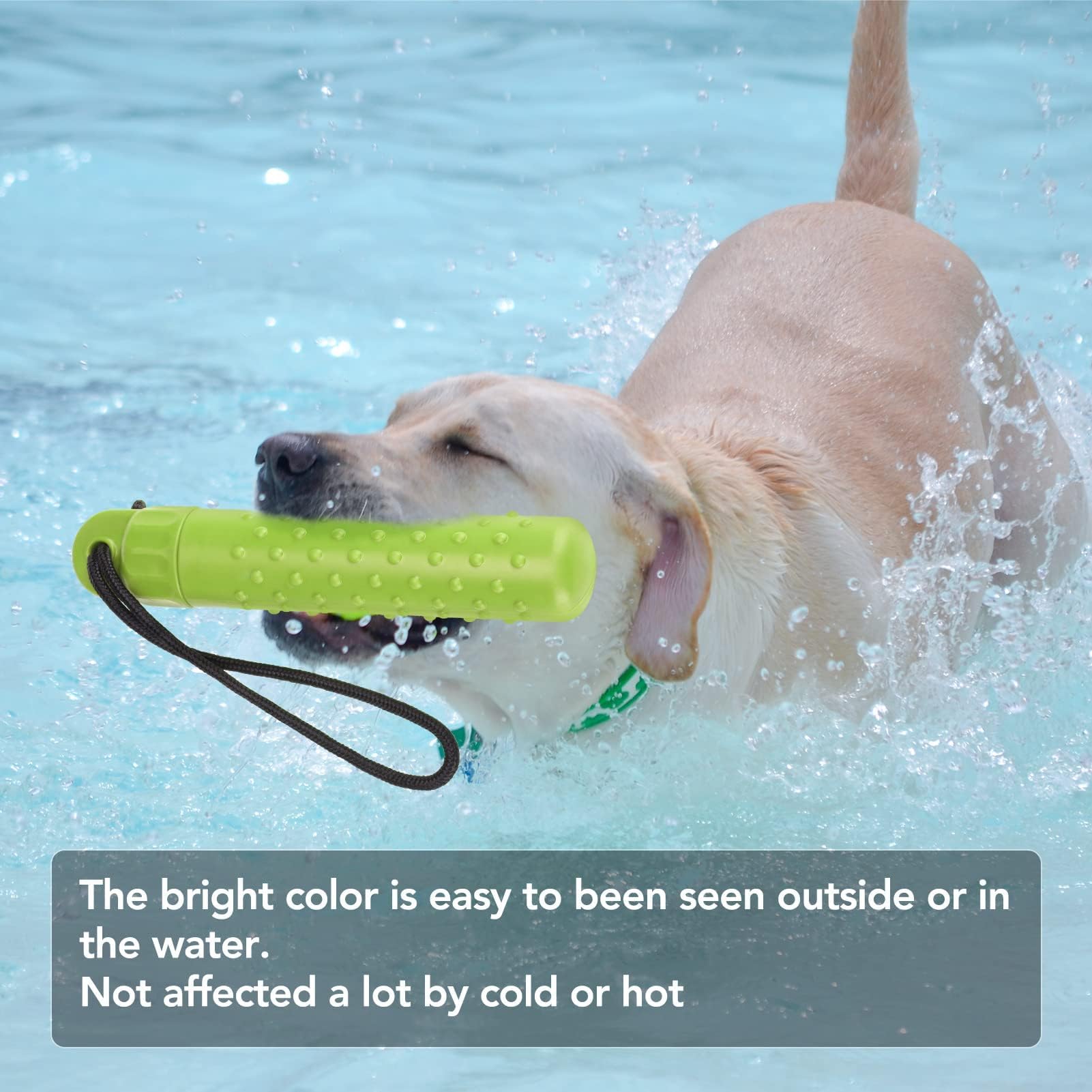 BINGPET Dog Float Bumper Toy - 9.3 Inch, Treat Dispensing Puzzle Toys, Training Dummy Retrieving Bumpers Summer Pool Toy Tug Gam