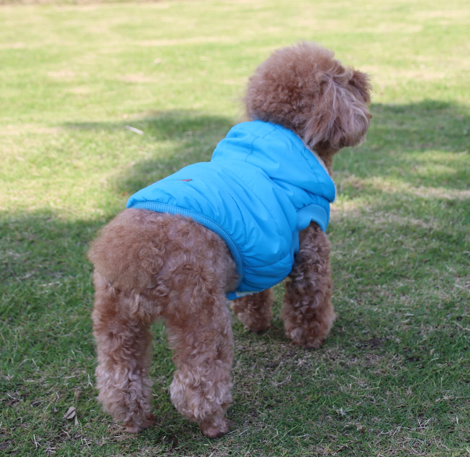 Vecomfy Fleece Lining Extra Warm Dog Hoodie In Winter For Small Dogs Jacket Puppy Coats With Hooded,Light Blue M