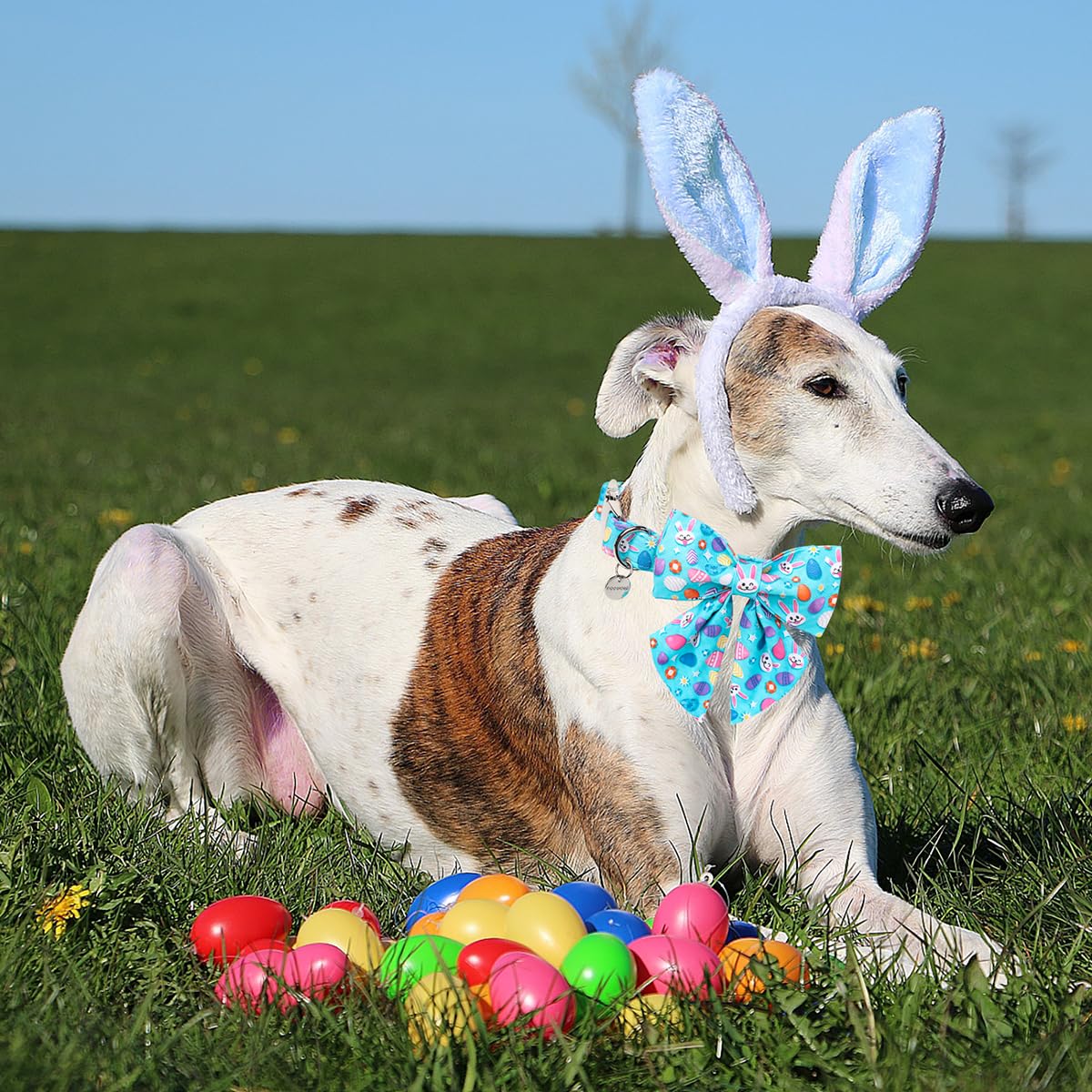 Dogwong Cotton Easter Dog Collar With Bowtie, Soft Adjustable Blue Rabbit Easter Day Dog Collar Cute Egg Puppy Collar For Small