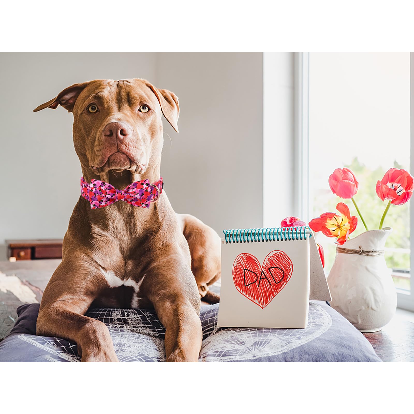 Maca Bates Valentines Dog Collar with Bow Comfortable Soft Heart Dog Collar with Metal Buckle Adjustable Puppy Collar Valentine'