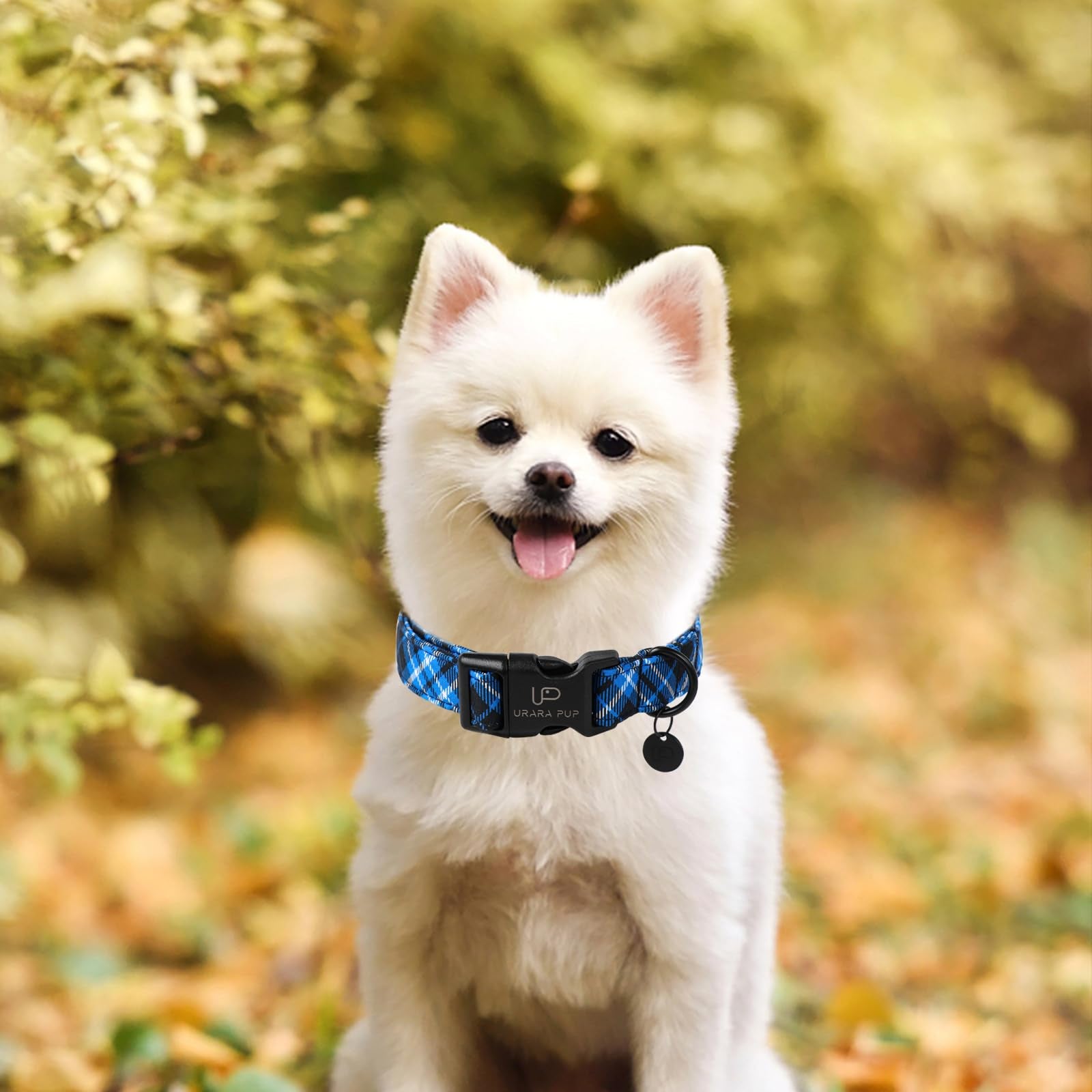 Up Urara Pup Autumn Cotton Dog Collar, Blue Plaid With Plastic Buckle, Adorable Pet Collar