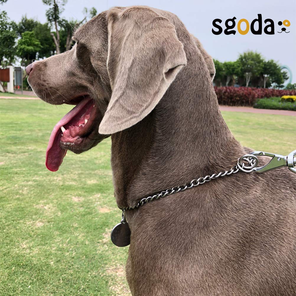 SGODA Chain Dog Training Choke Collar, 304 Stainless Steel, Total Length 26 in, 4 mm