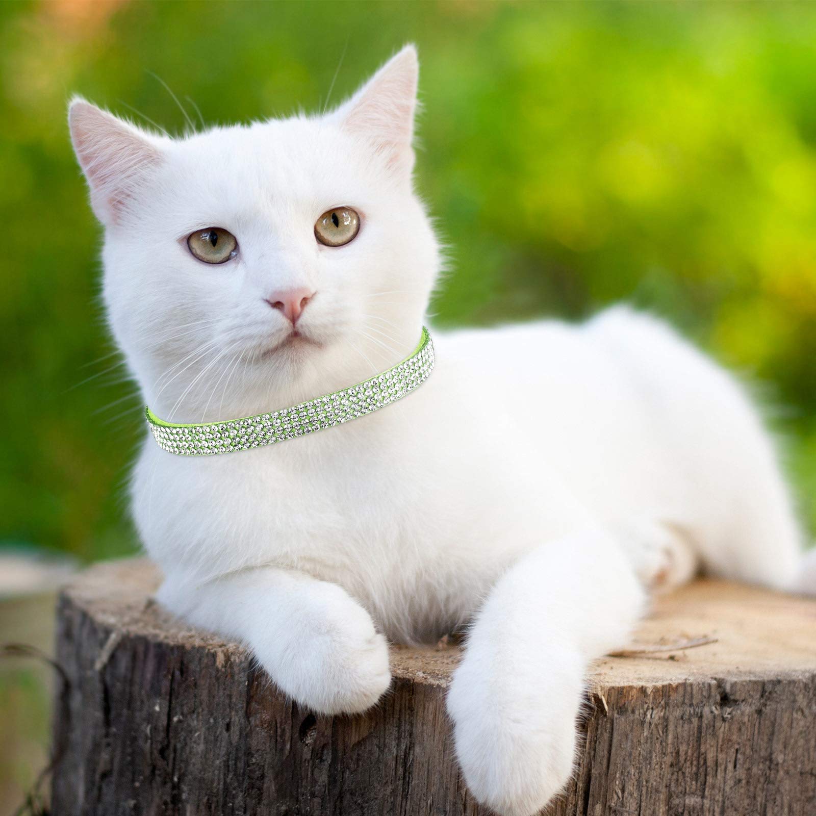 Weewooday 4 Pieces Rhinestones Cat Collars Breakaway Cat Collar With Bell Bling Pet Accessories With Soft Velvet, 4 Colors(Xs,Light Green, Light Blue, Light Purple, Rose Red)