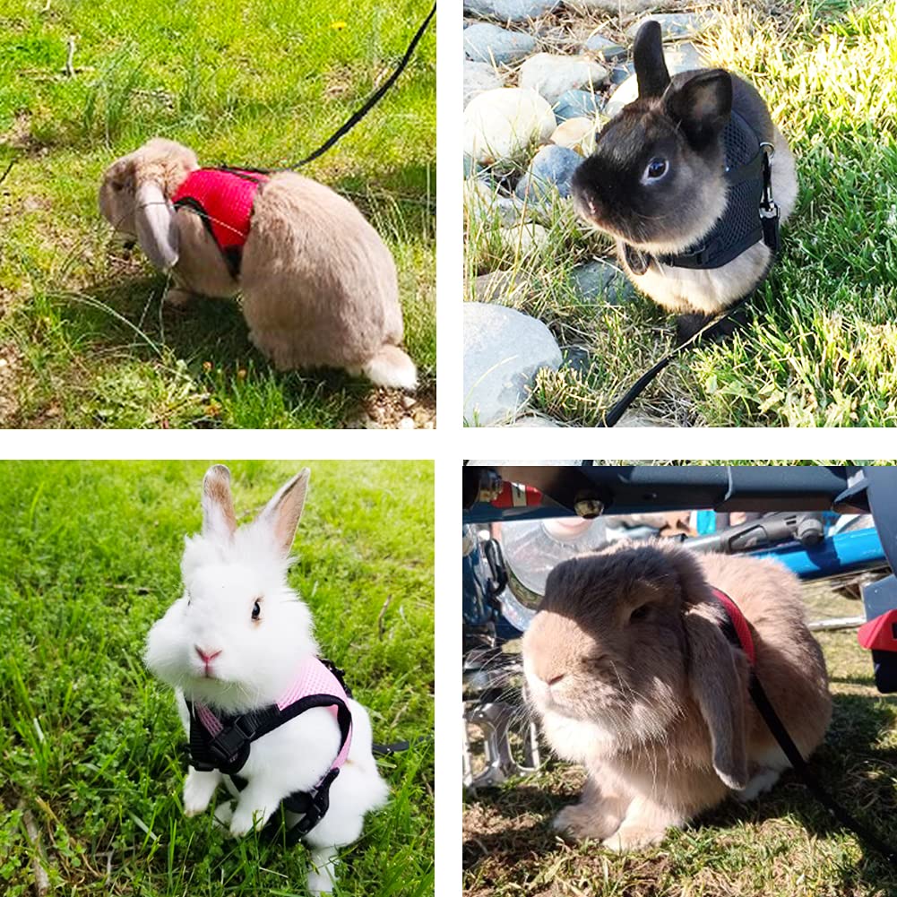 Pettom Bunny Rabbit Harness With Stretchy Leash Cute Adjustable Buckle Breathable Mesh Vest For Kitten Small Pets Walking (S(Chest:9.8-12.5 In), Blue)