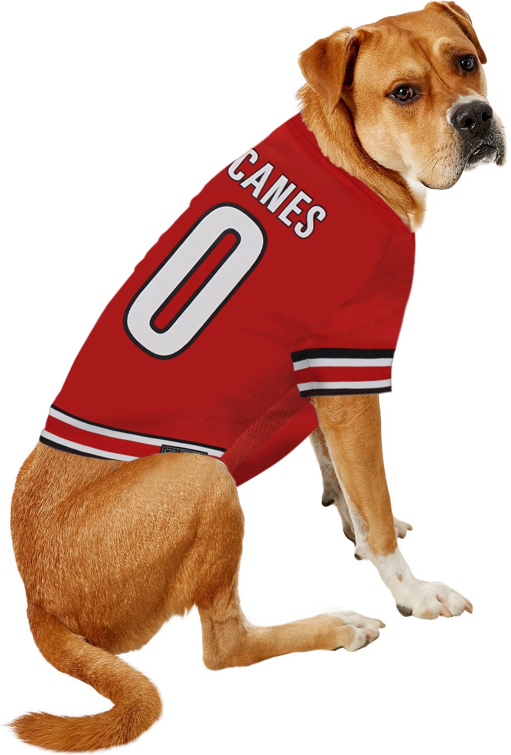 Pets First NHL Carolina Hurricanes Jersey for Dogs & Cats, Medium. - Let Your Pet Be A Real NHL Fan!