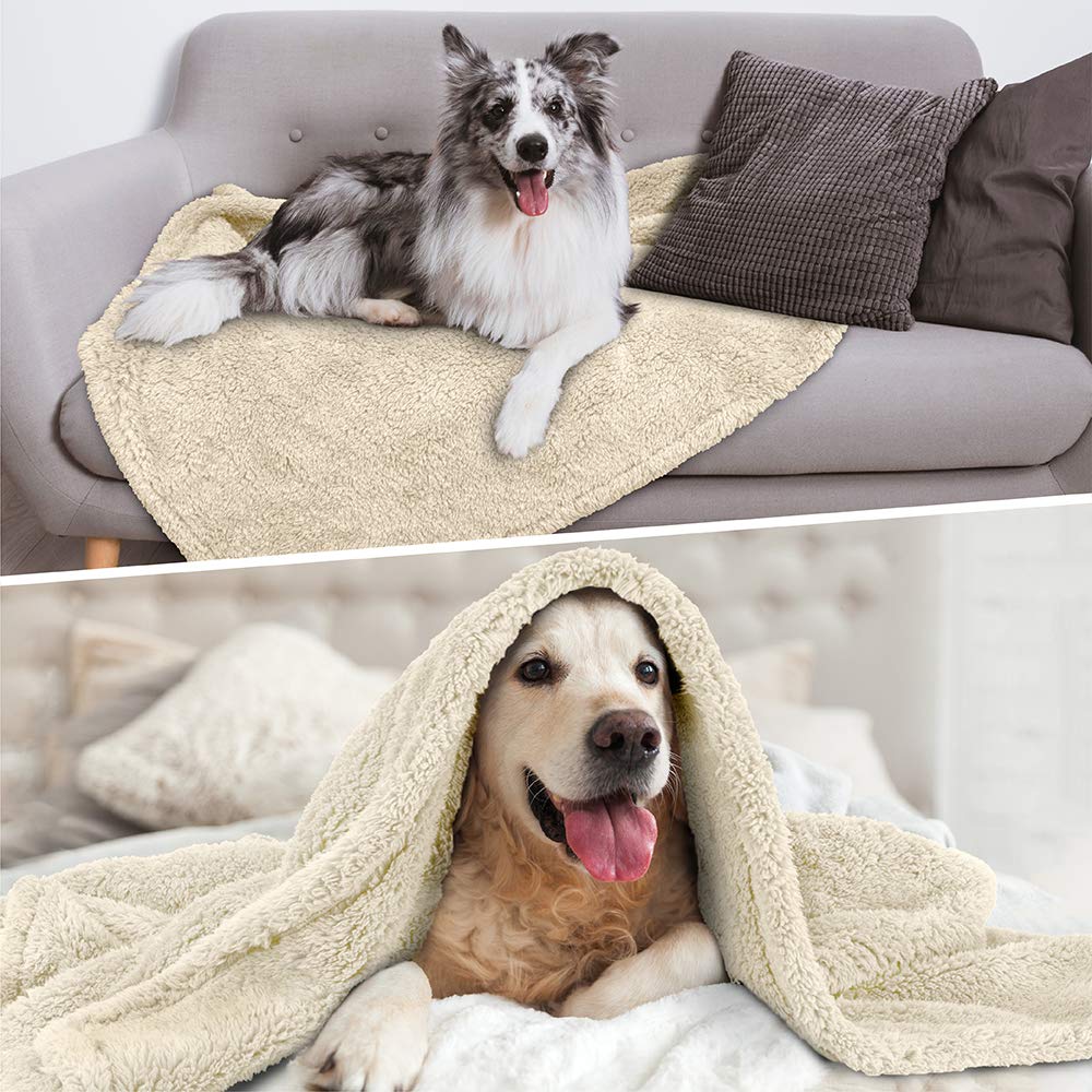 Petami Fluffy Waterproof Dog Blanket Fleece | Soft Warm Pet Fleece Throw For Large Dogs And Cats | Fuzzy Furry Plush Sherpa Throw Furniture Protector Sofa Couch Queen Bed (Beige Cream, 90X90)