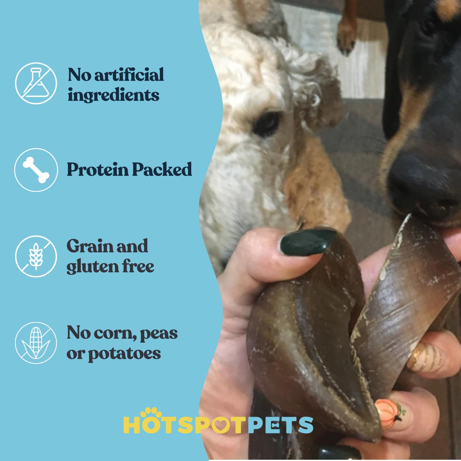 Full-Size Cow Hooves for Dogs (25 Pack) | All-Natural Long Lasting Dog Chews | Made from Grass Fed Cattle | Tasty Treat for Oral