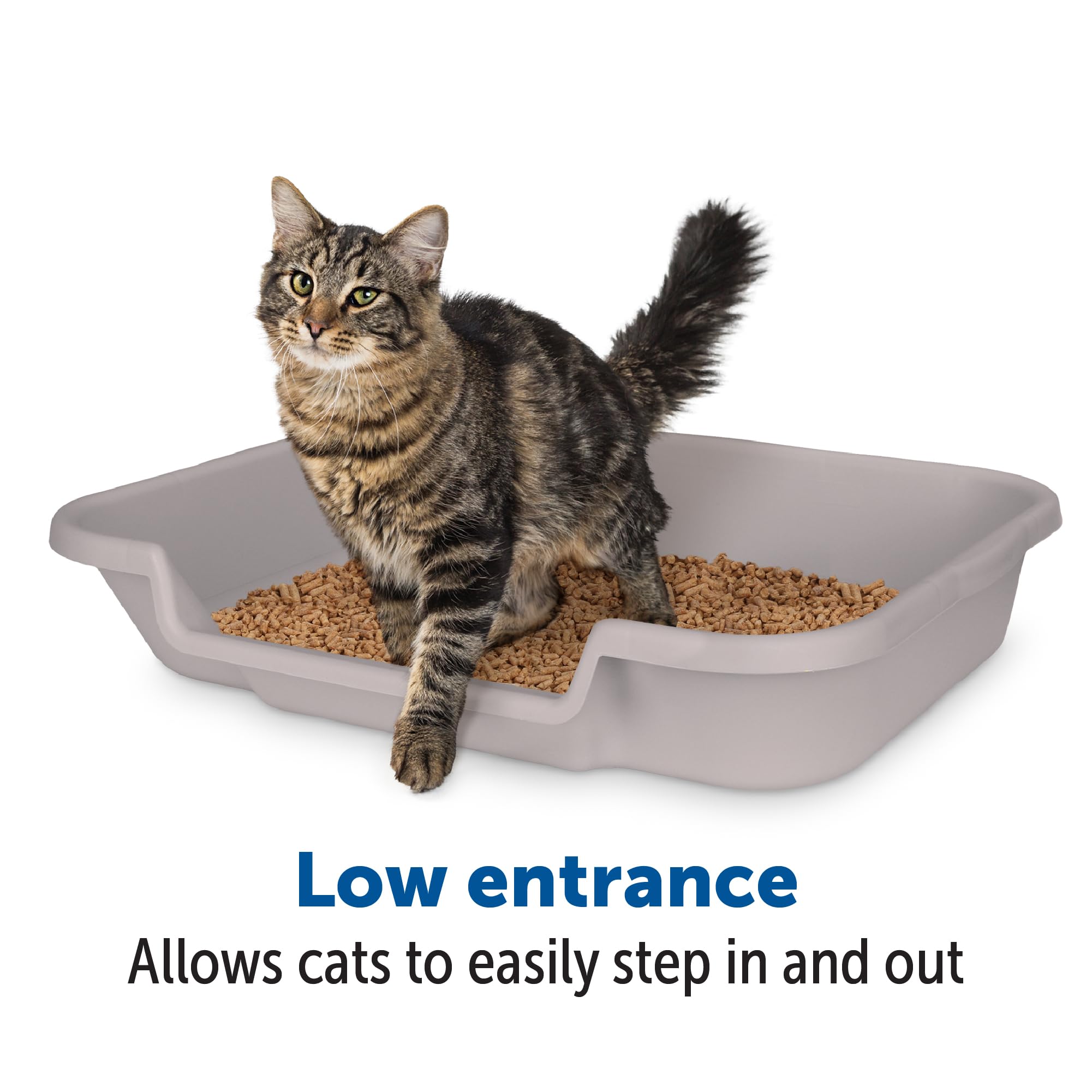 Kittygohere Senior Cat Litter Box 2 Pack, Large Misty Gray Low Entrance Kitty Litter Box, Sized For Cats Comfort, Perfect For Se