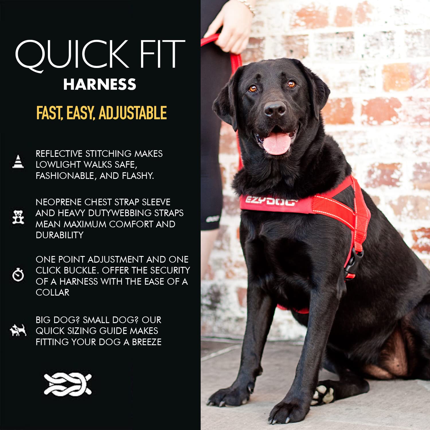 Ezydog Premium Quick Fit Adjustable No-Pull Dog Harness Vest With Reflective Stitching - Perfect For Training, Walking, And Control - Padded For Comfort (X-Large, Blue)