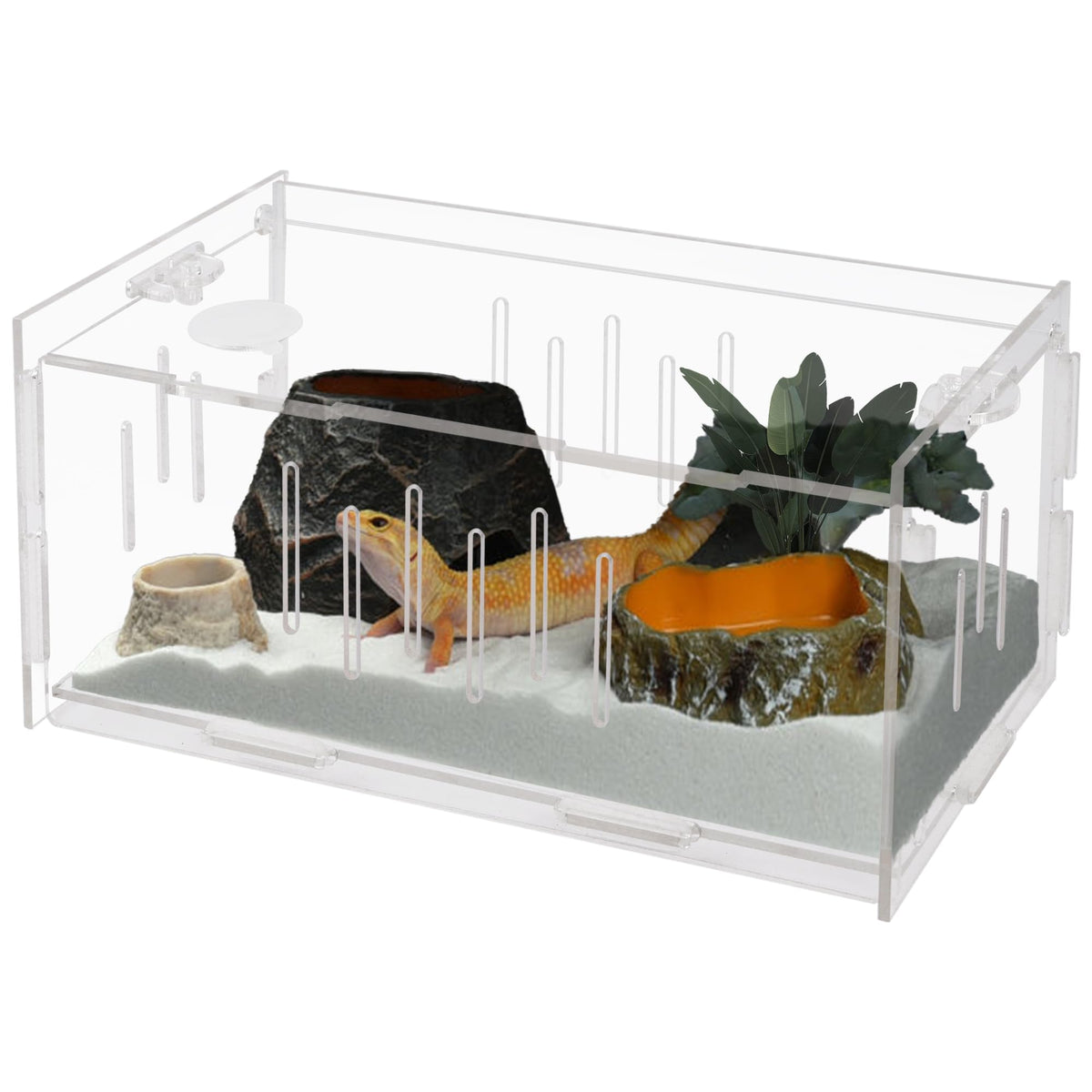 Winemana Small Reptile Jumping Spider Terrarium Enclosure, 8'' X 4'' X 4'' Acrylic Mini Transparent Feeding Tank Micro Habitat B